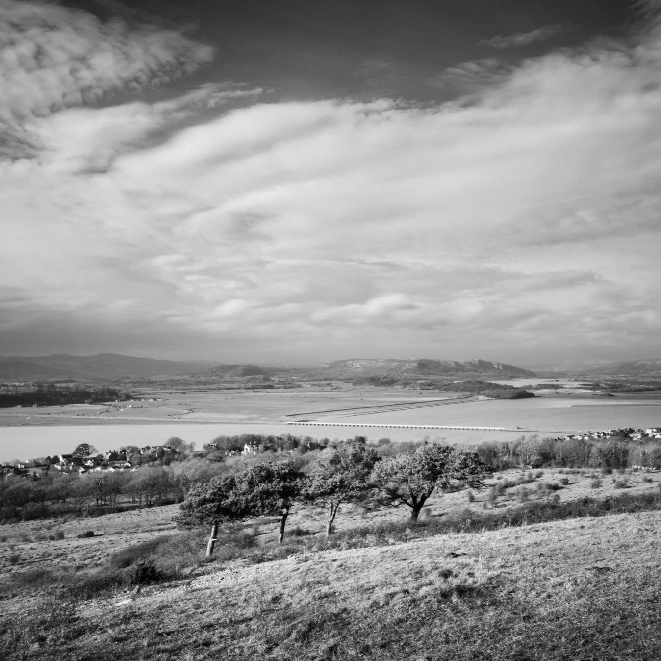 (250305-D003) Four trees in a breeze, Arnside Knott (LtdEd.50)