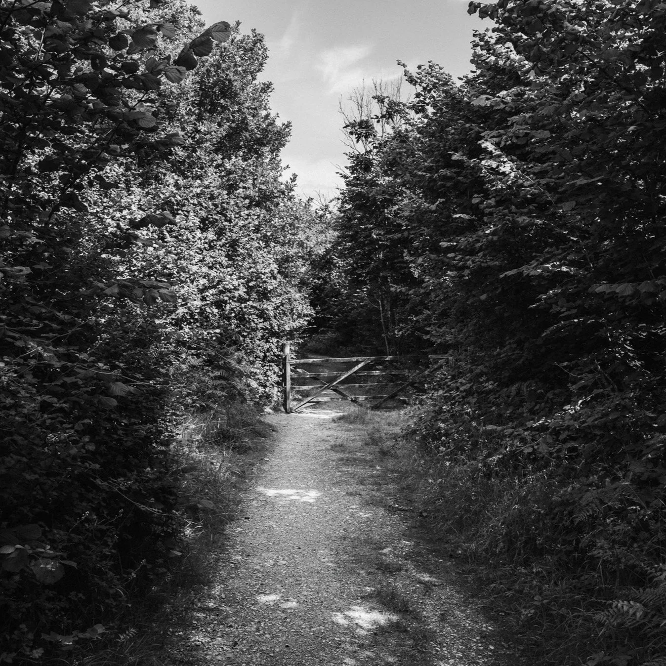 (250630-D002) Footpath, Gait Barrows (LtdEd.50)