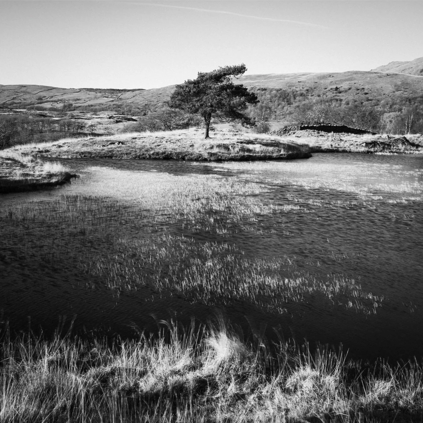 (251226-D002) Windswept, Kelly Hall Tarn (LtdEd.50)