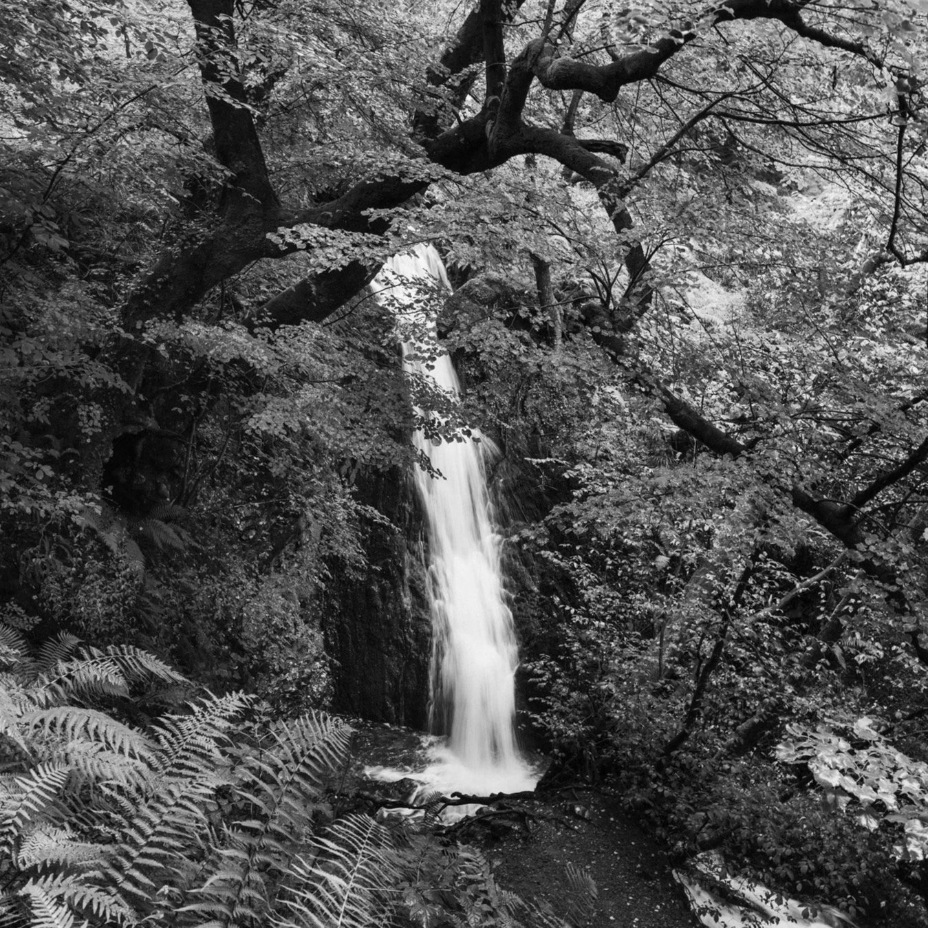 (240902-D0202) Tom Gill falls, Tarn Hows (LtdEd.50)