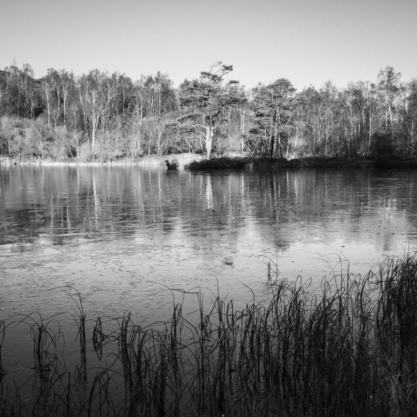 (260103-D016) Frozen, High Dam, Finsthwaite (LtdEd.50)