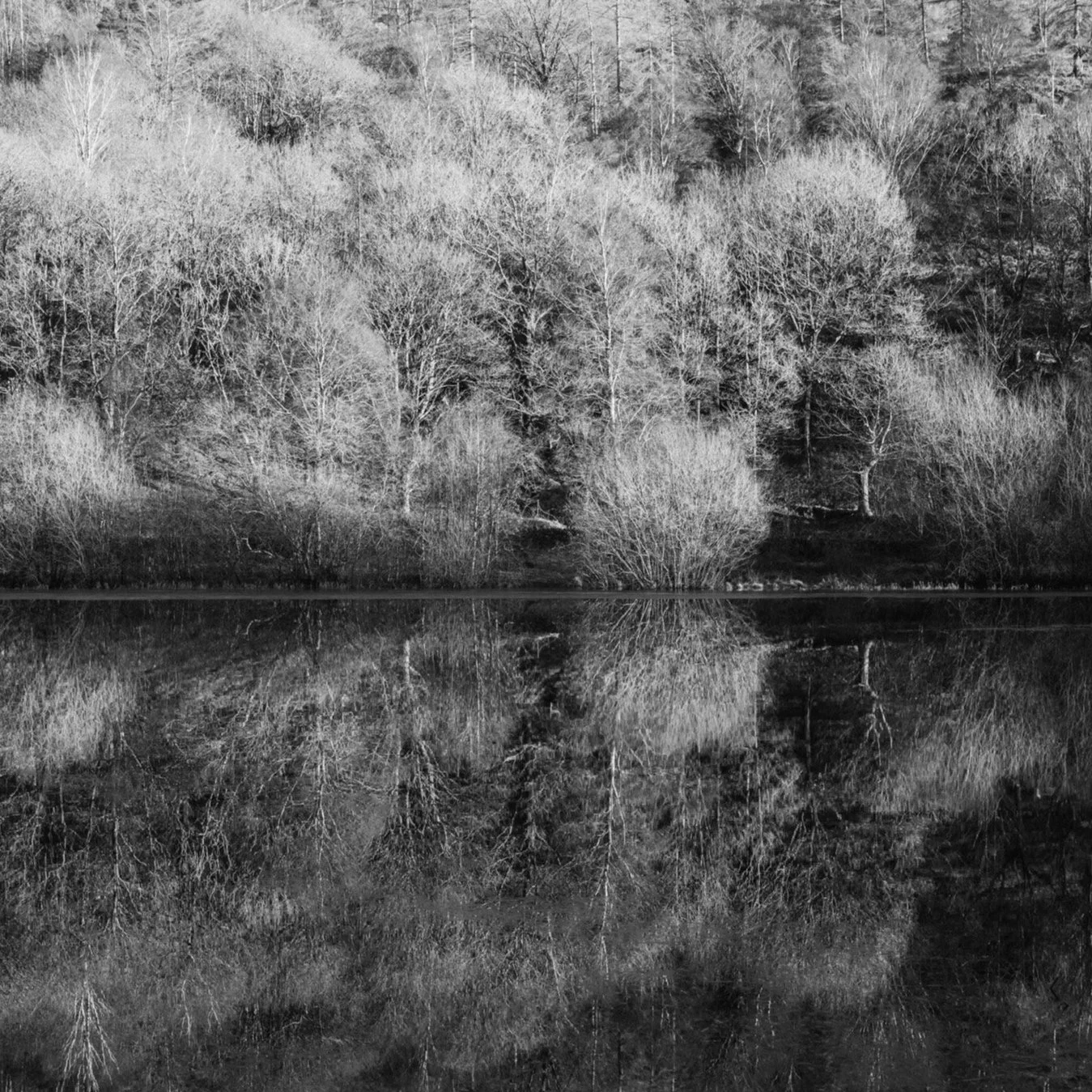 (250116-D012) Reflections, Yew Tree Tarn (LtdEd.50)