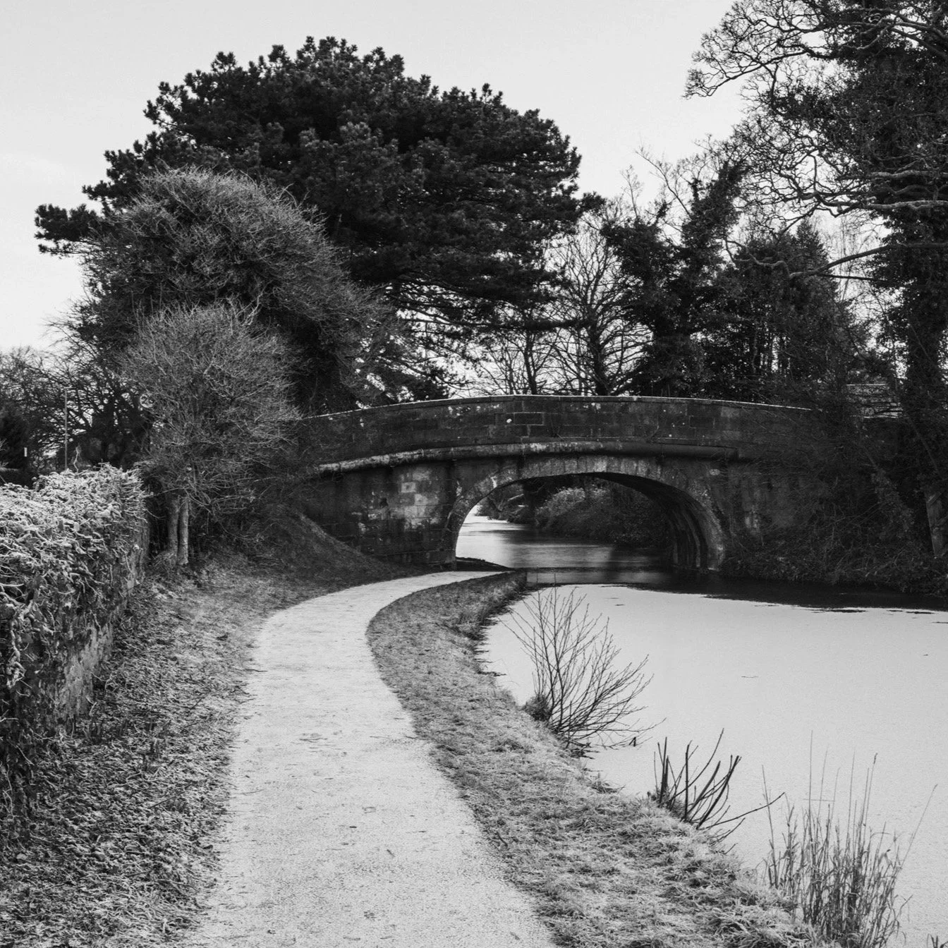 (250109-D001) Haverbreaks Bridge 95 in winter, Lancaster Canal (LtdEd.50)