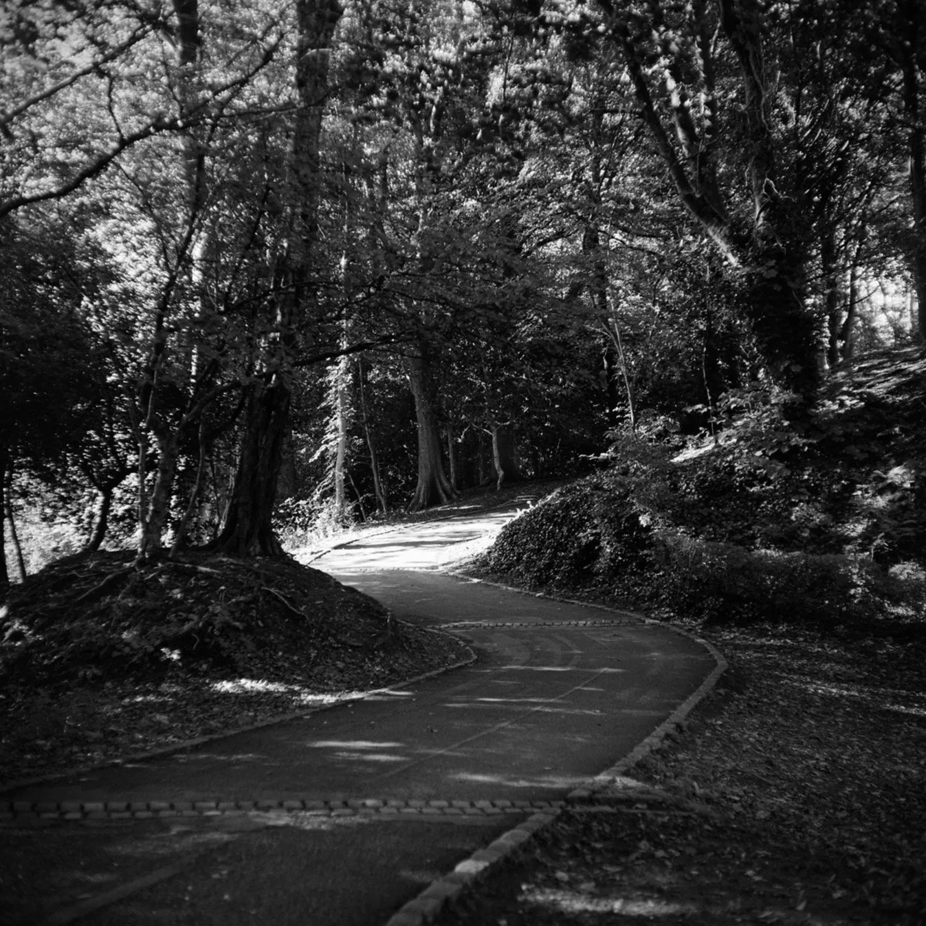 (240918-F1601) Footpath, Williamson Park (LtdEd.50)