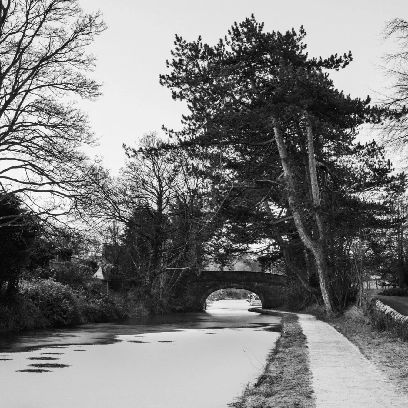 (250109-D002) Haverbreaks Bridge 95 in winter, Lancaster Canal (LtdEd.50)