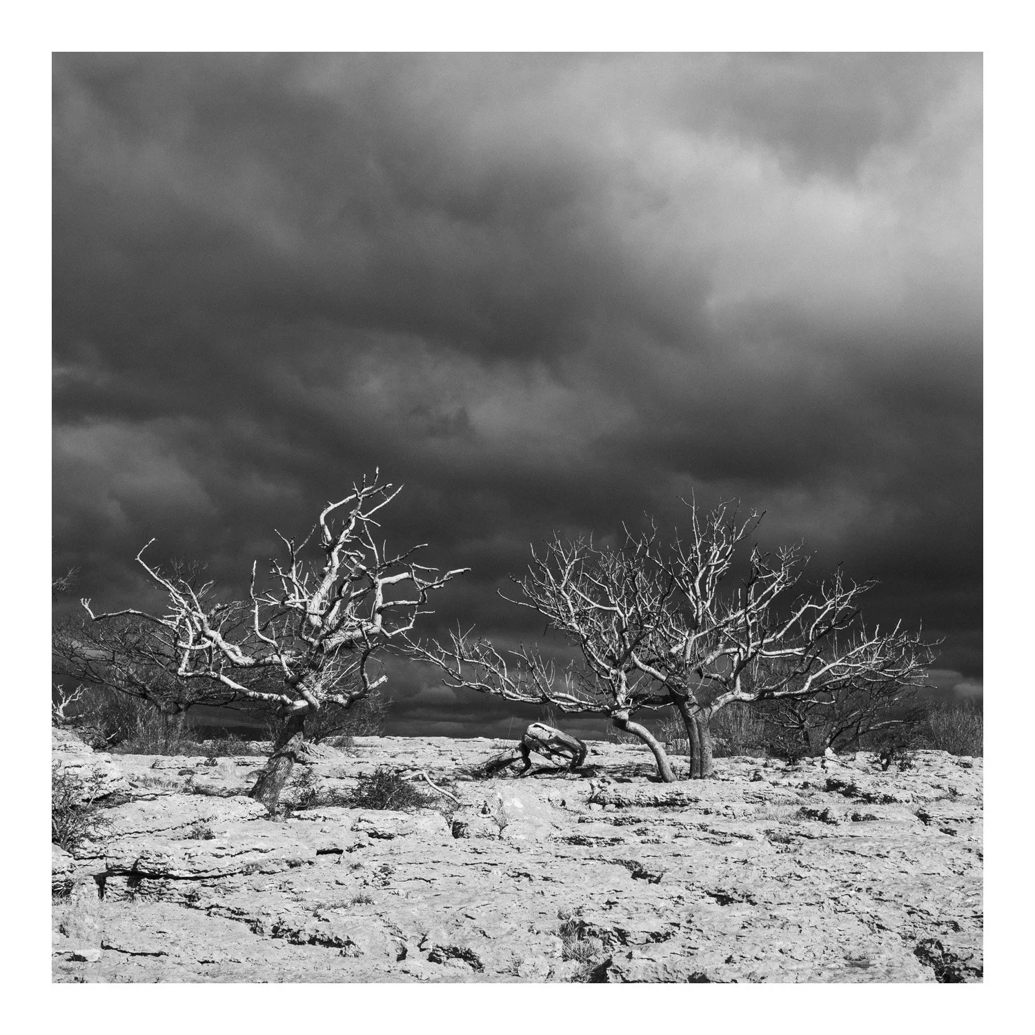 (250316-D001) Barren, Newbiggin Crags. (LtdEd.50)