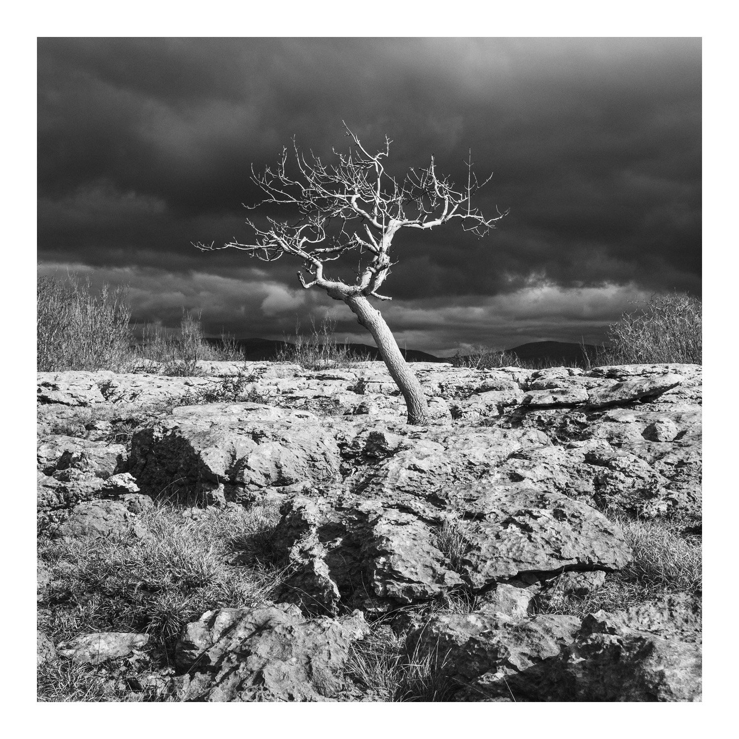 (250316-D002) Winter light, Newbiggin Crags. (LtdEd.50)