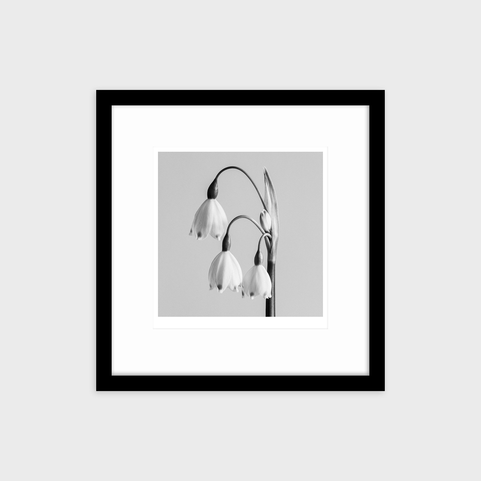 260415-D004_Framed.jpg