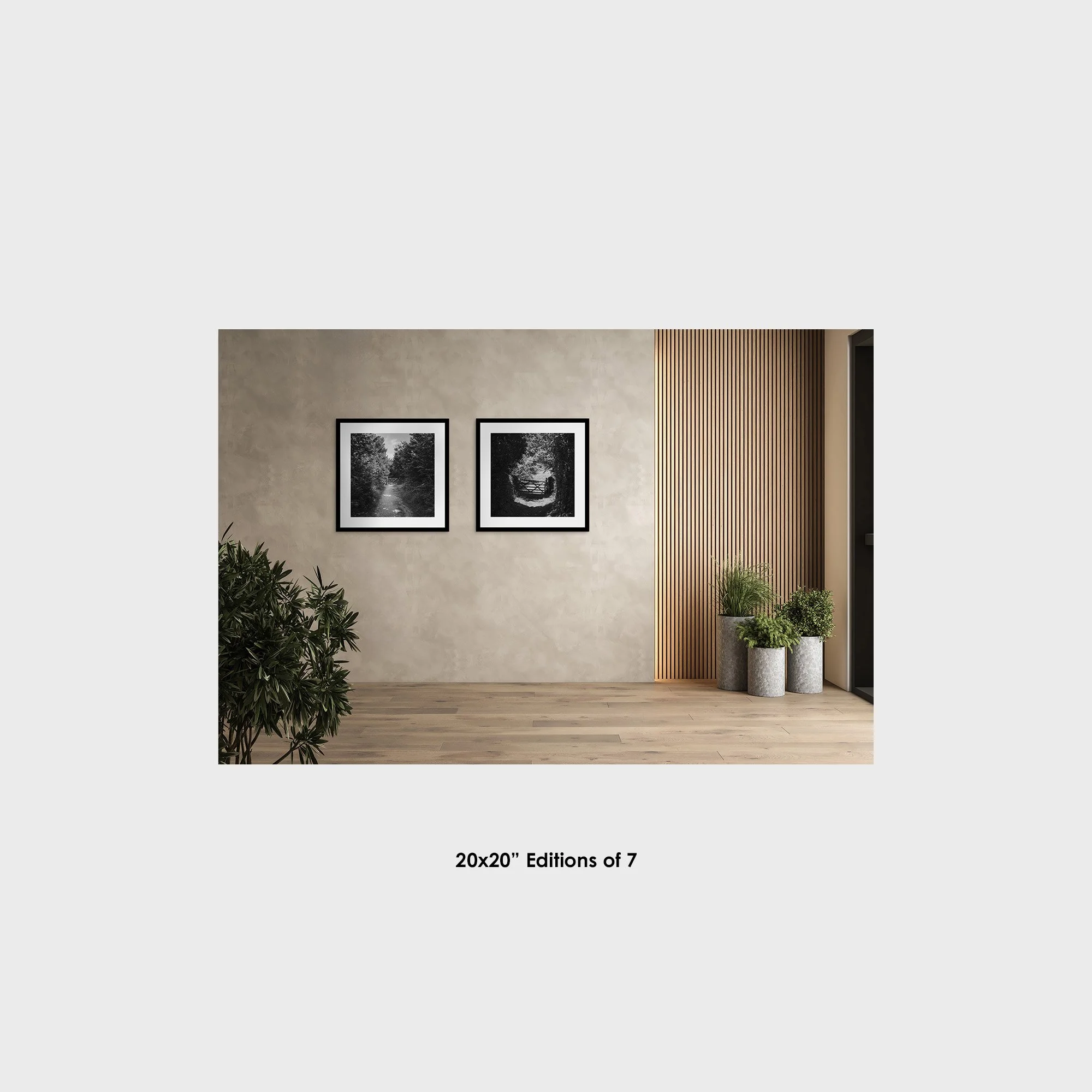 Limited_Edition_Photography_20x20in.jpg