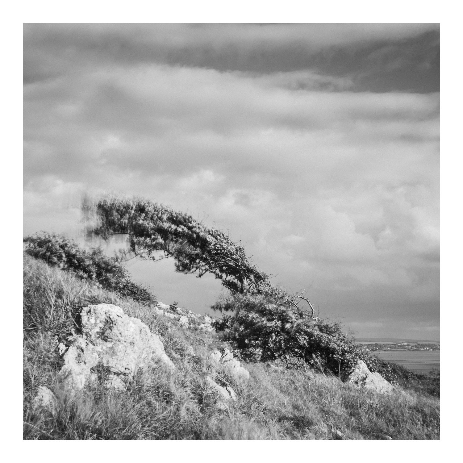 (250804-D005) Full force, Jack Scout, Silverdale. (LtdEd.50)