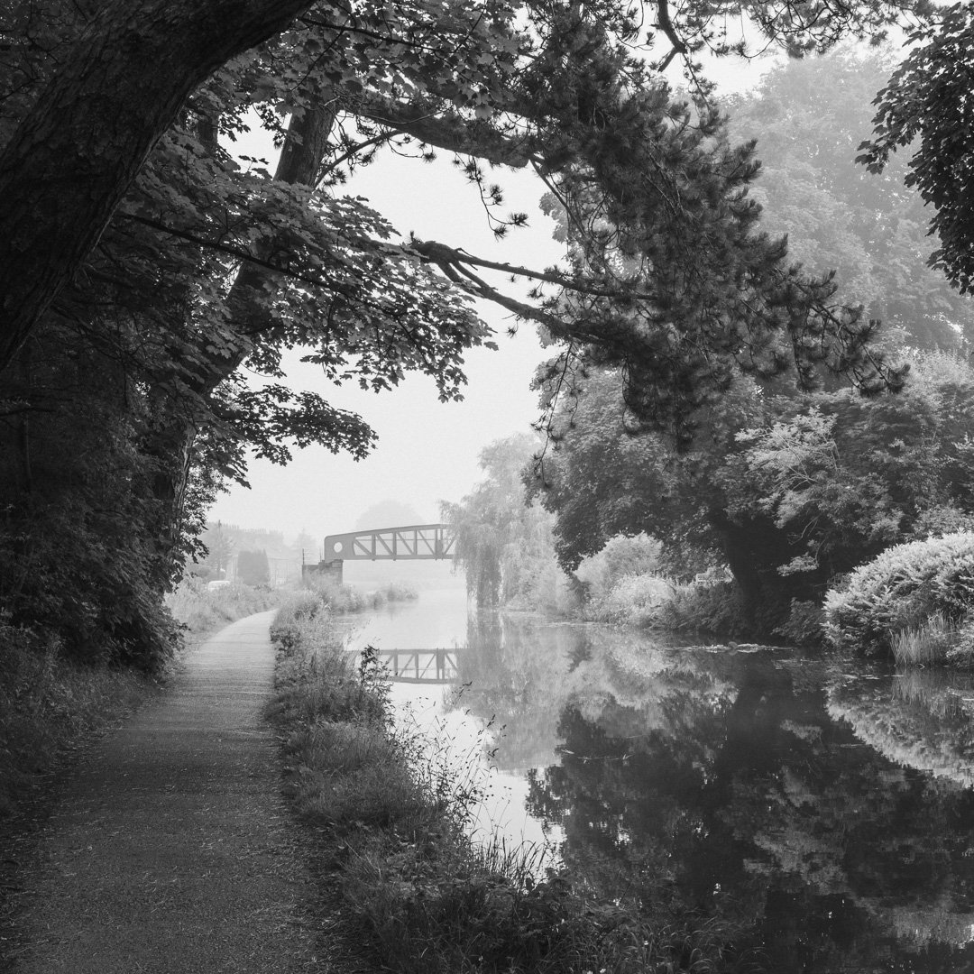 (260624-D003) Morning fog, Aldcliffe Rd Footbridge, Lancaster Canal.
