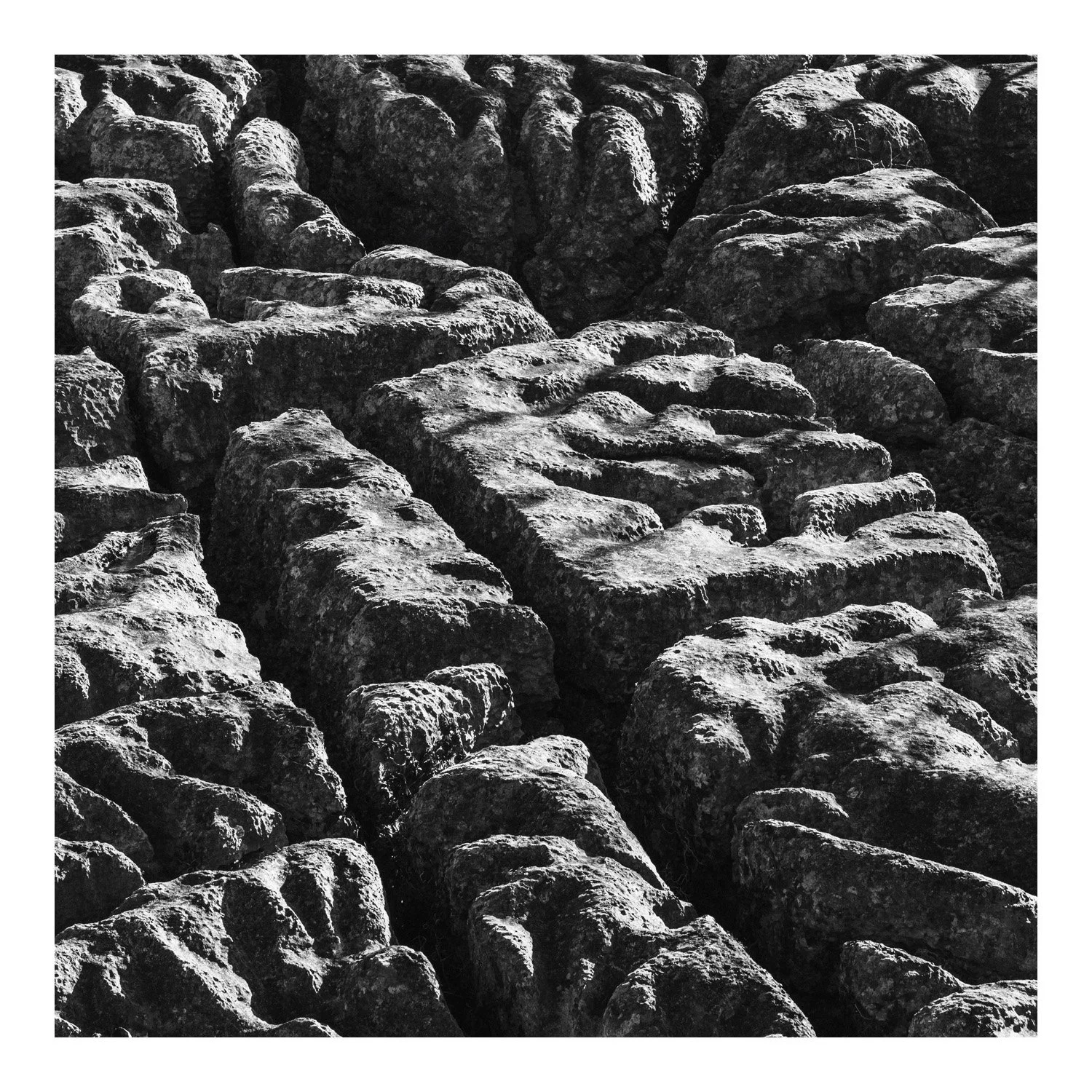 (260214-D018) Grikes and Clints, Hutton Roof Crags. (LtdEd.50)