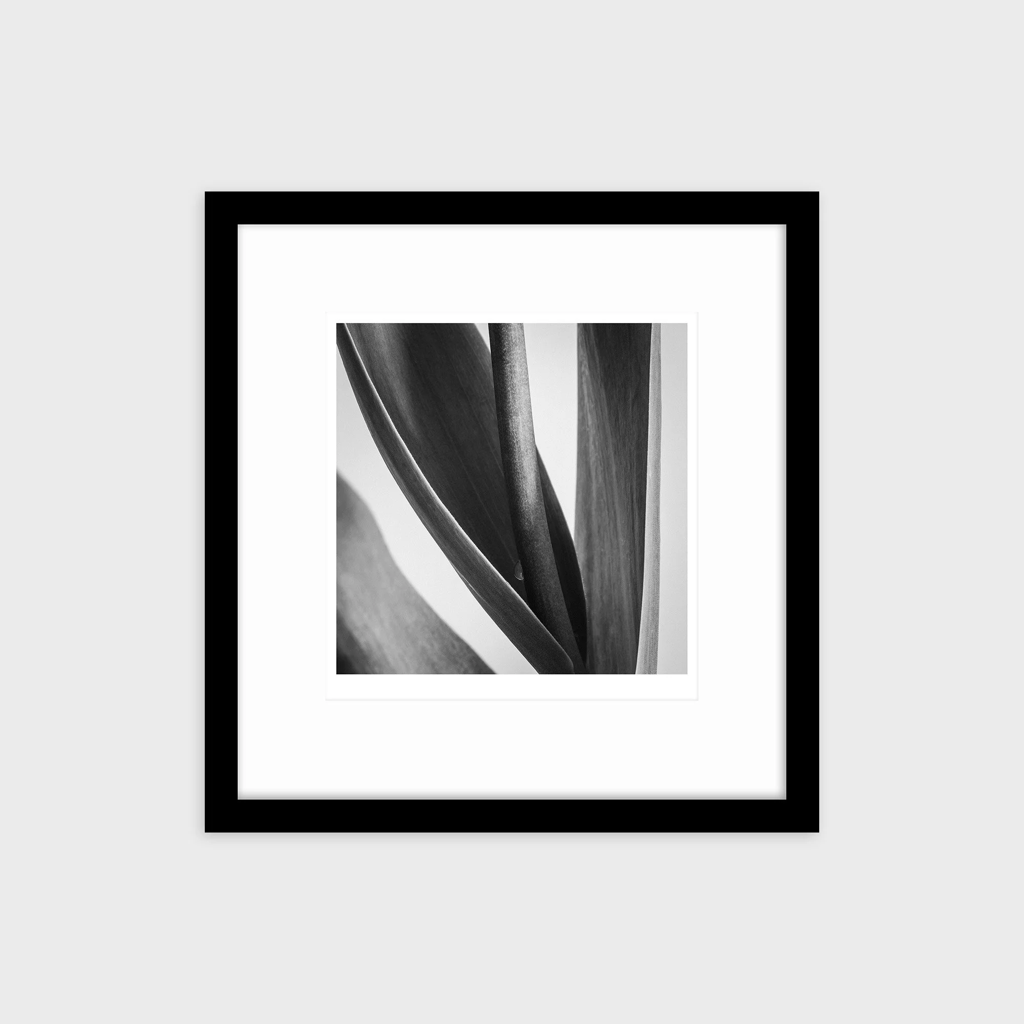260415-D002_Framed.jpg