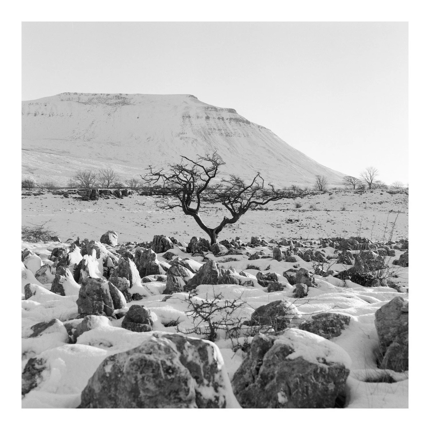 (240118-F0502) Winter, Ingleborough, North Yorkshire. (LtdEd.50)