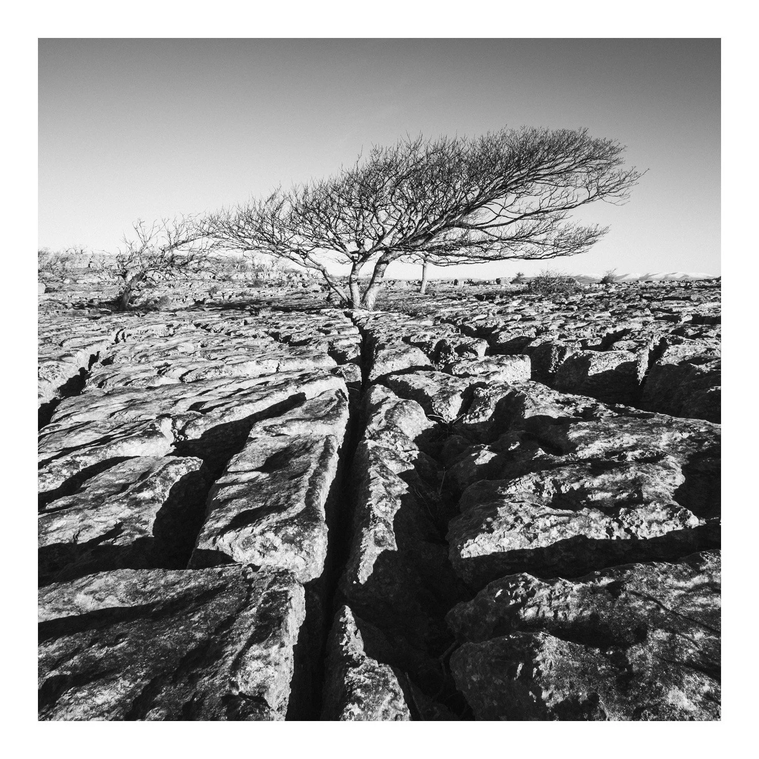 (260214-D007) Aligned, Newbiggin Crags. (LtdEd.50)
