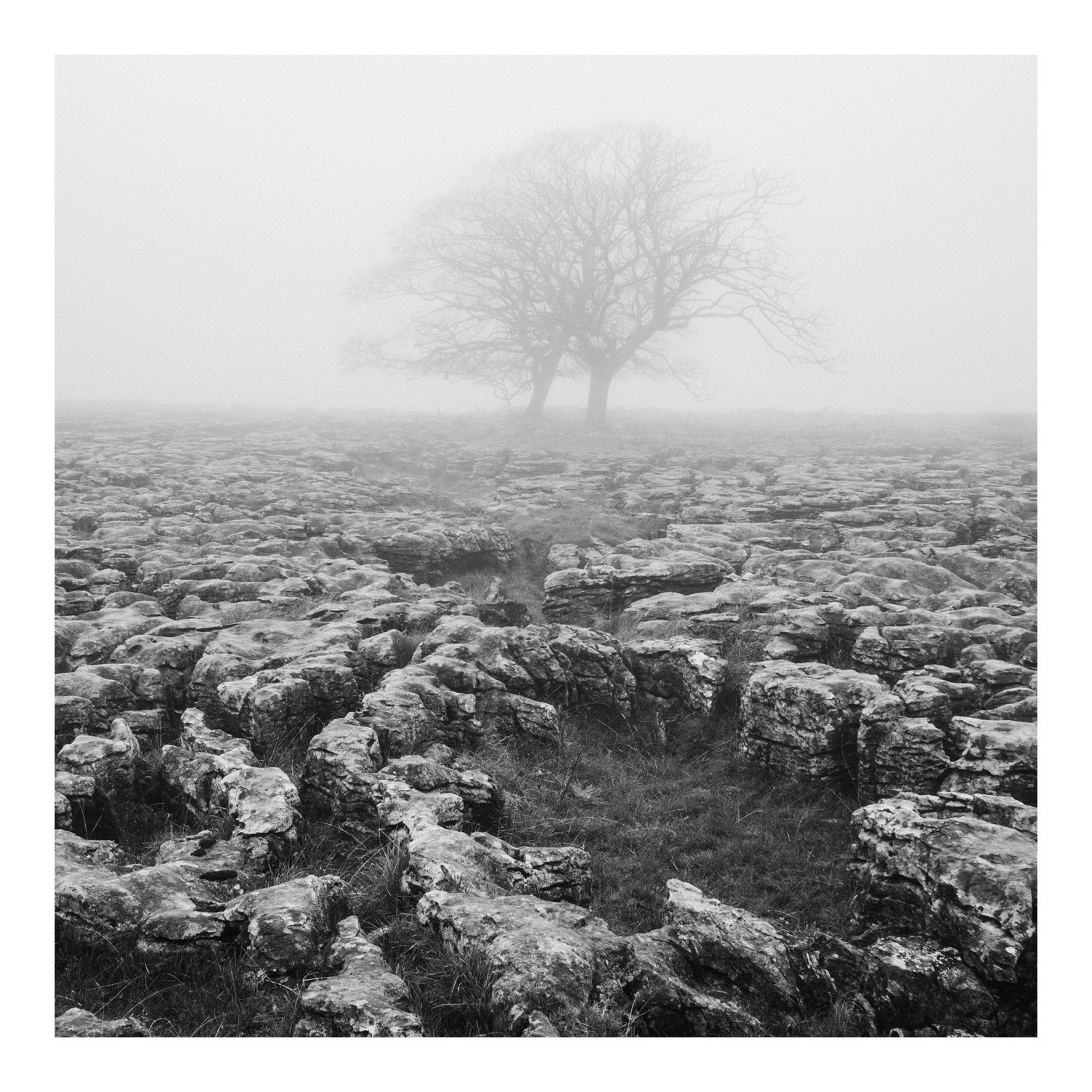 (241030-D1109) Fog, Southerscales Scars, North Yorkshire. (LtdEd.50)