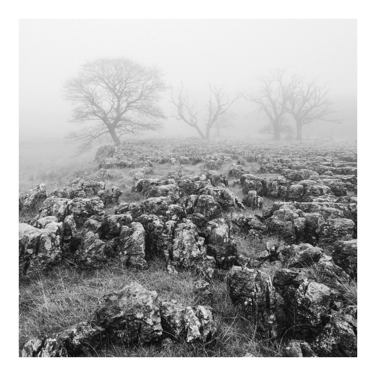 (241030-D1107) Fog, Southerscales Scars, North Yorkshire. (LtdEd.50)