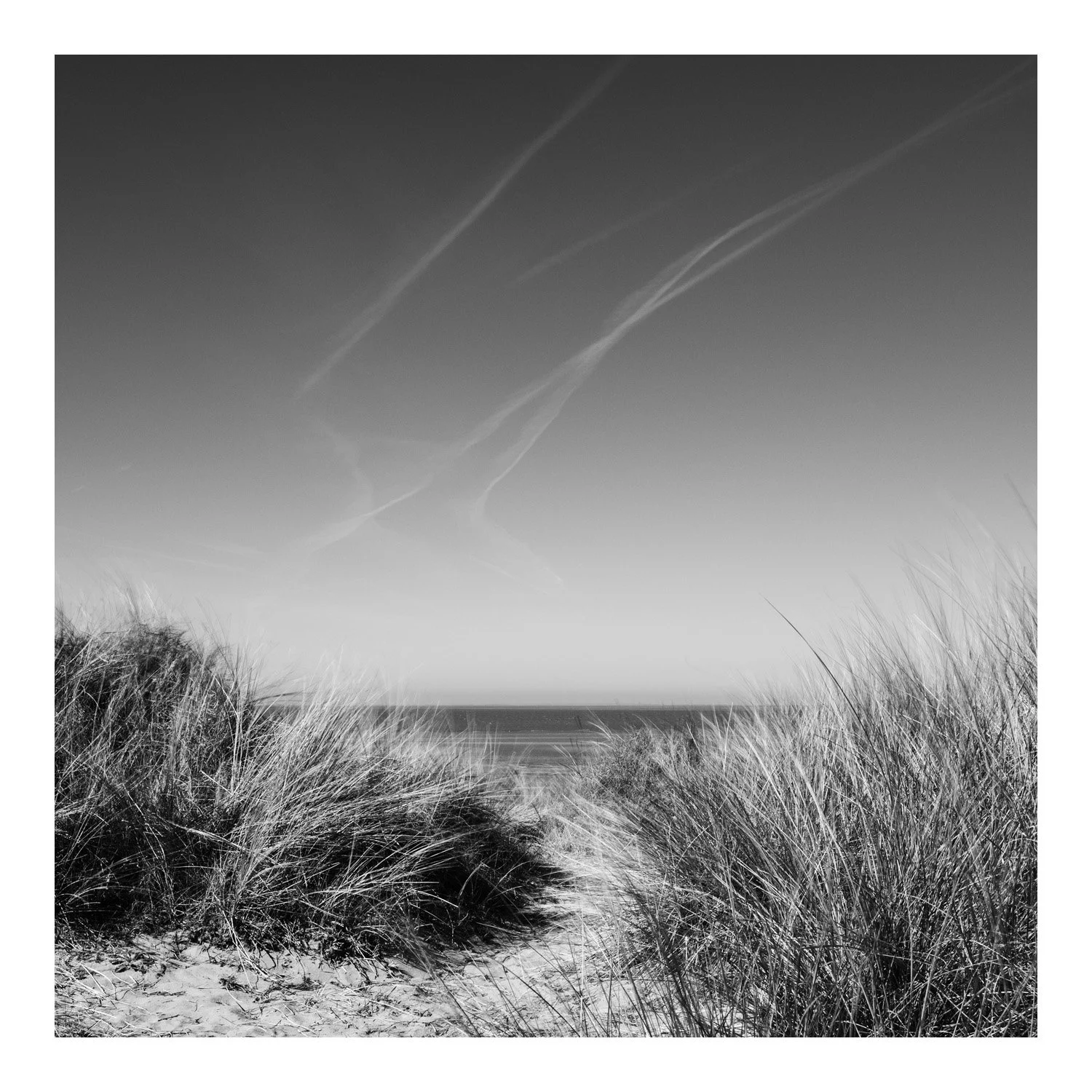 (250401-D001) Through the dunes, Old Hunstanton, Norfolk. (LtdEd.50)