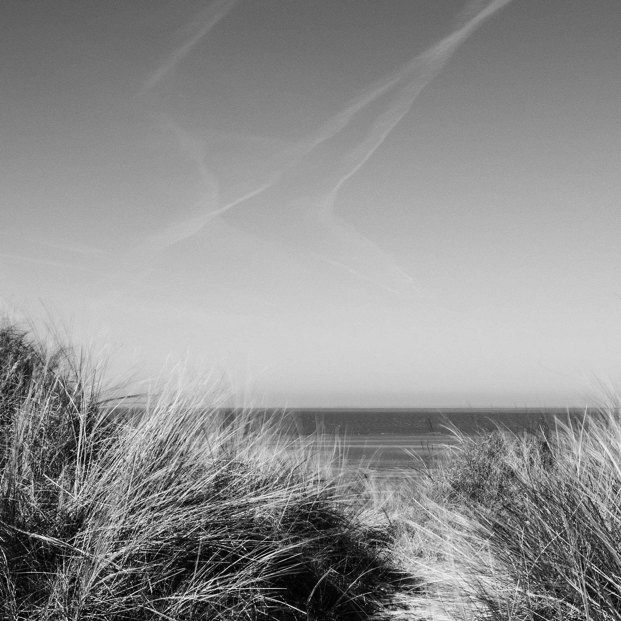 250401-D001.jpg