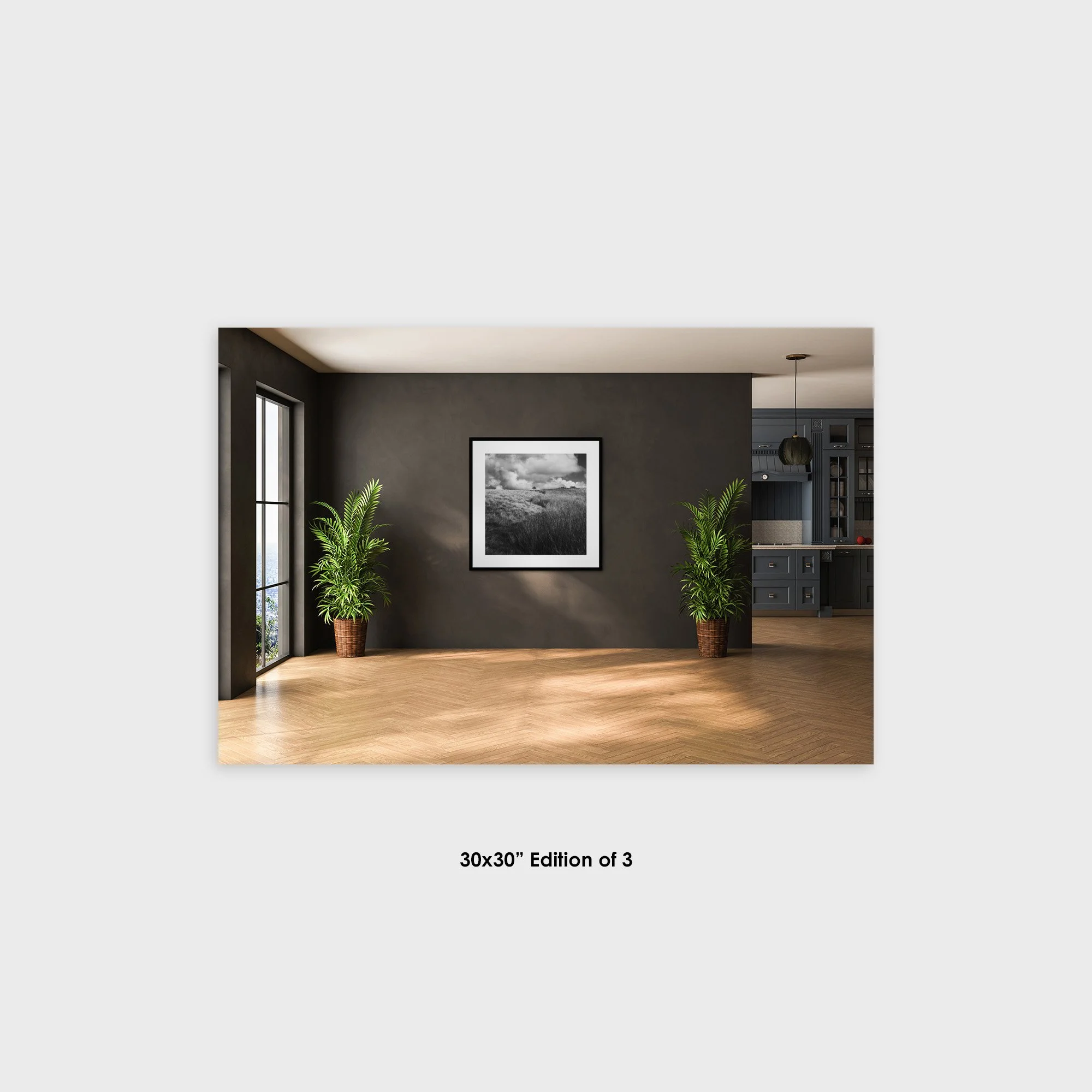 Limited_Edition_Photography_30x30in.jpg