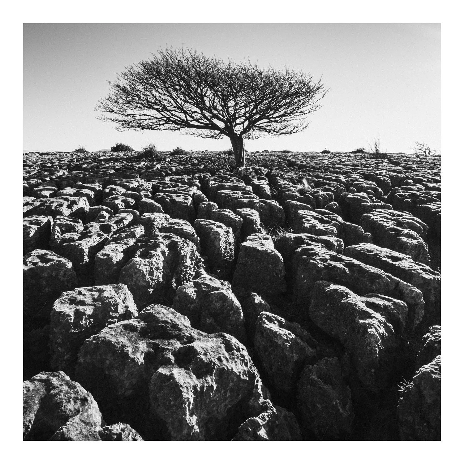 (260214-D008) Winter light, Newbiggin Crags. (LtdEd.50)