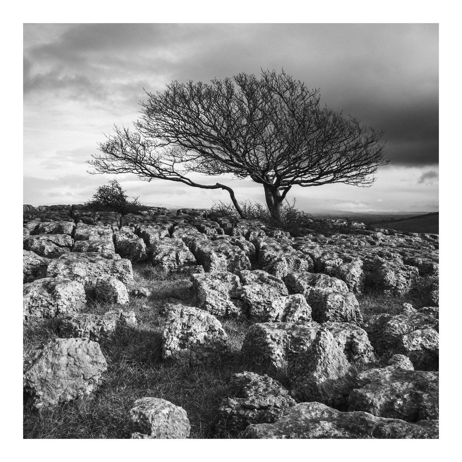 (260213-D005) Winter, Newbiggin Crags. (LtdEd.50)