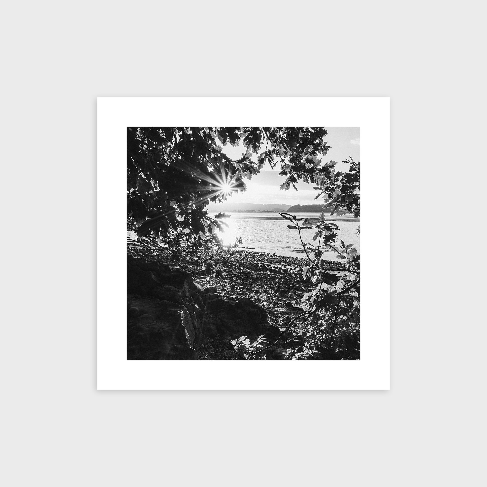Through The Leaves, Arnside