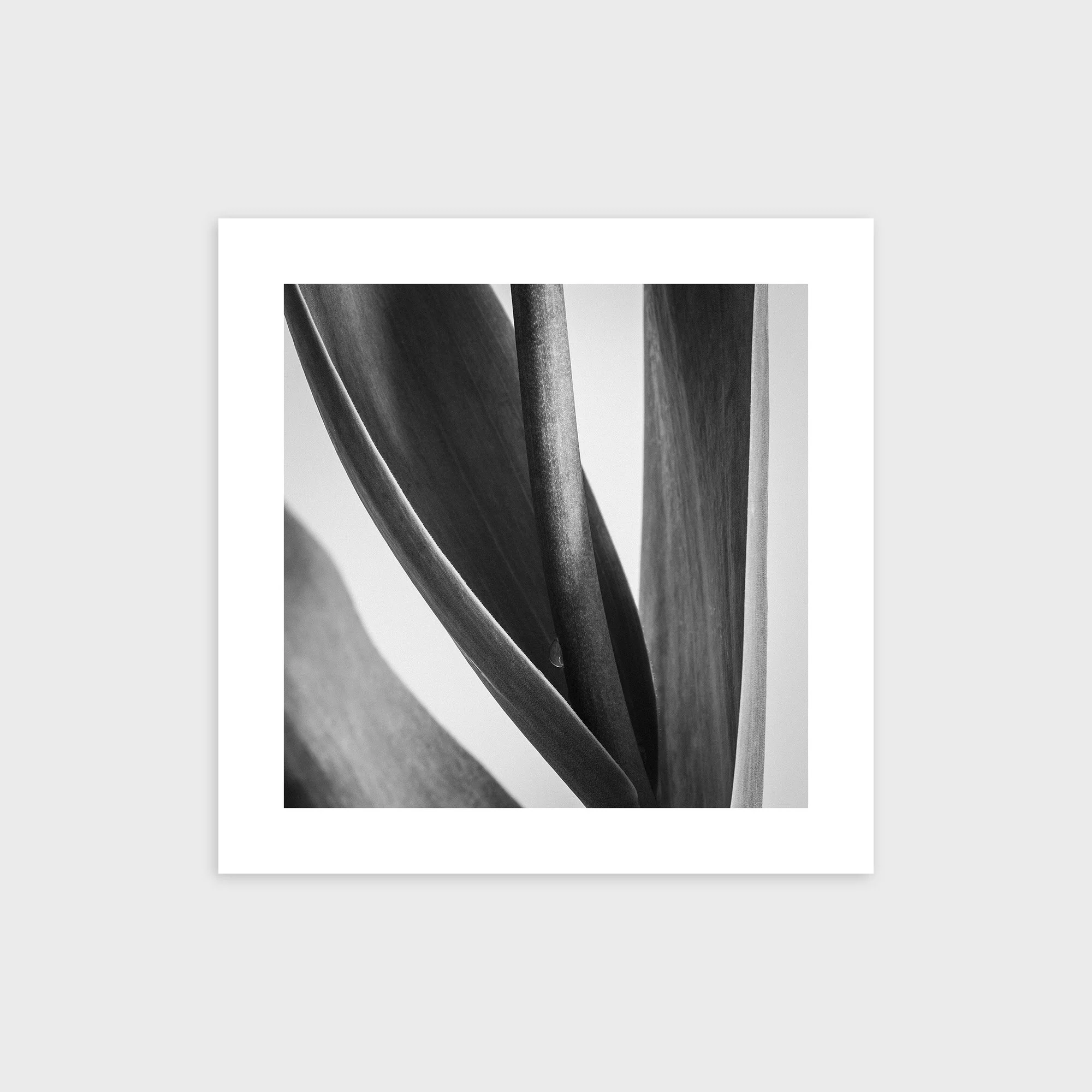 260415-D002_Print.jpg