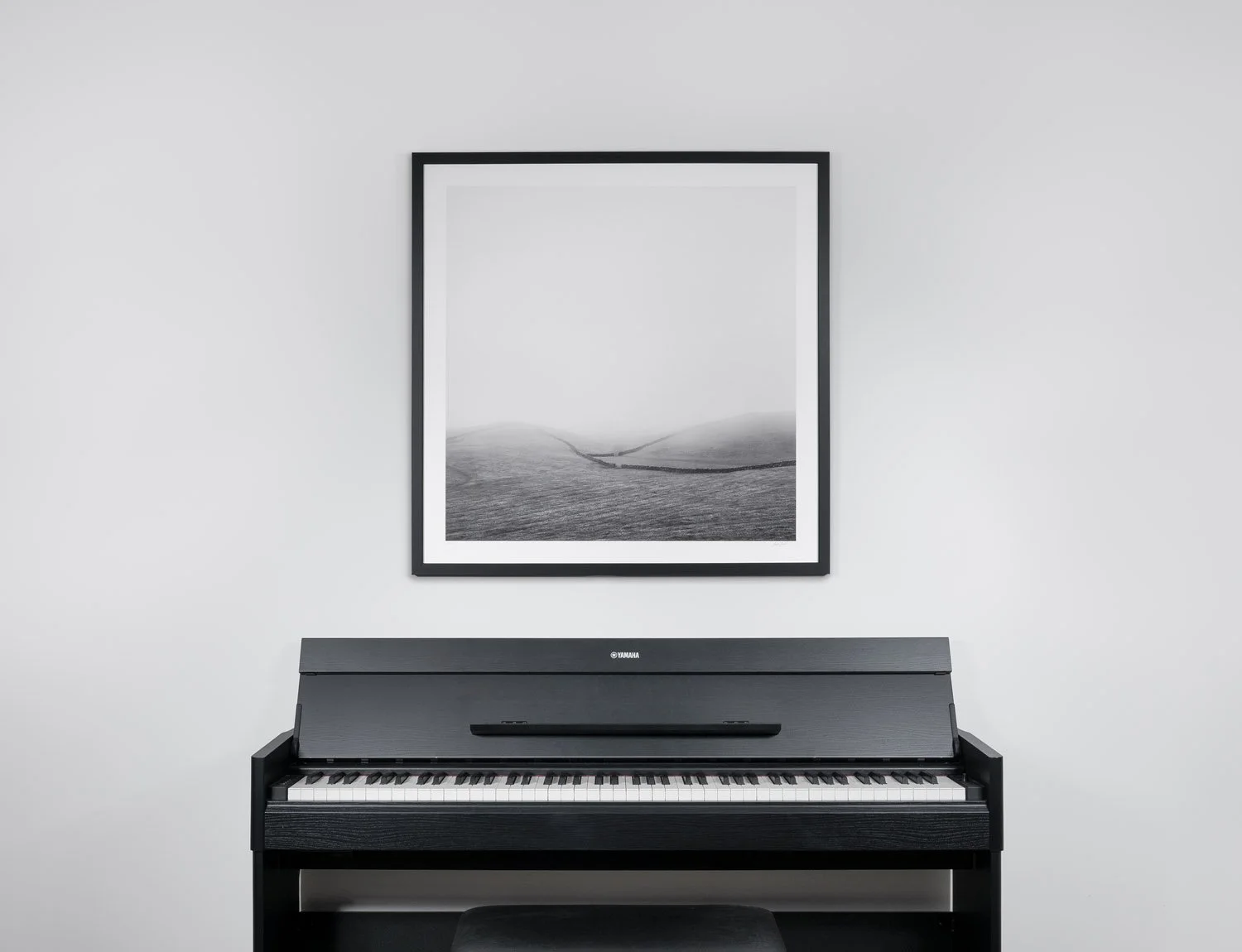 Series / Collections / Prints