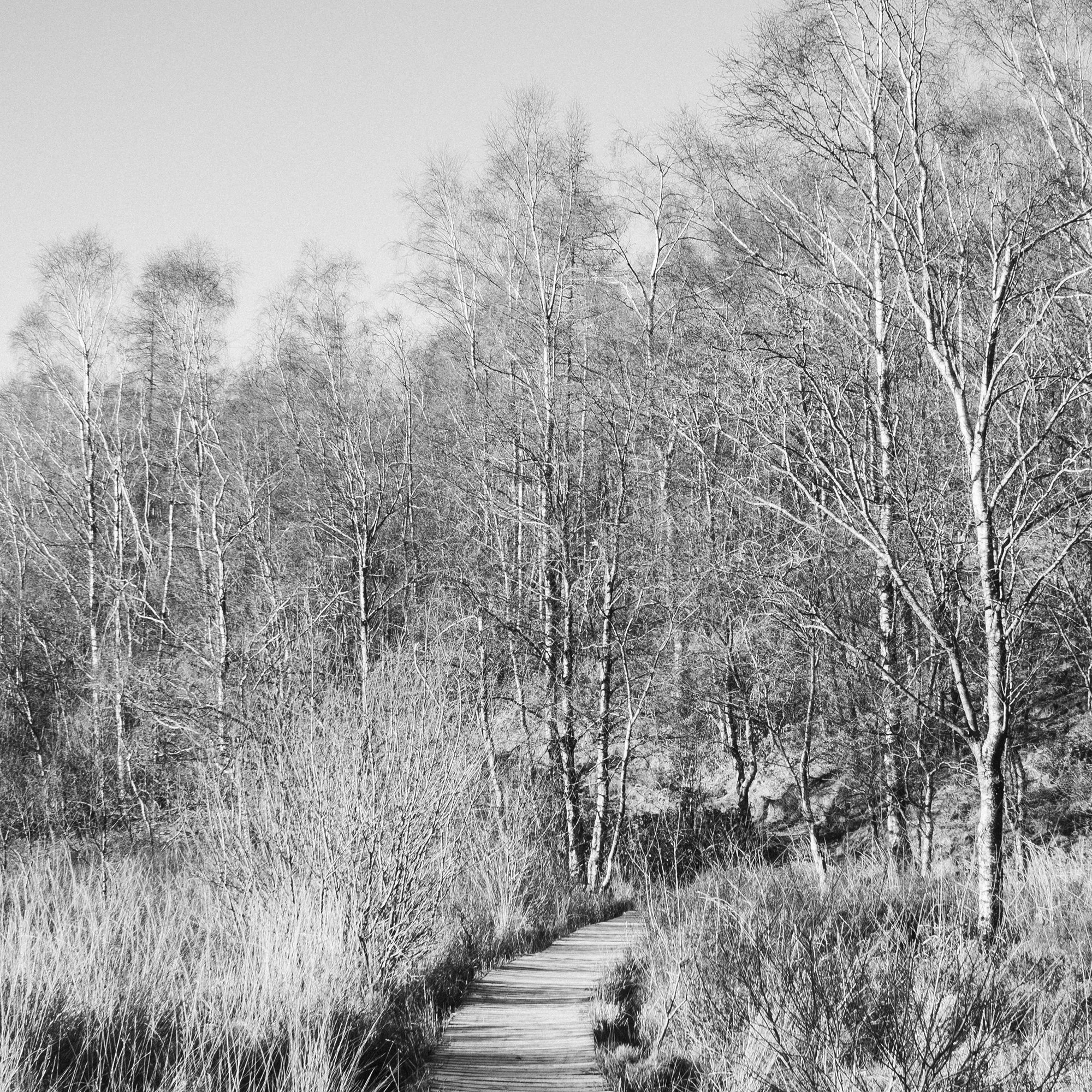 260103-D023.jpg