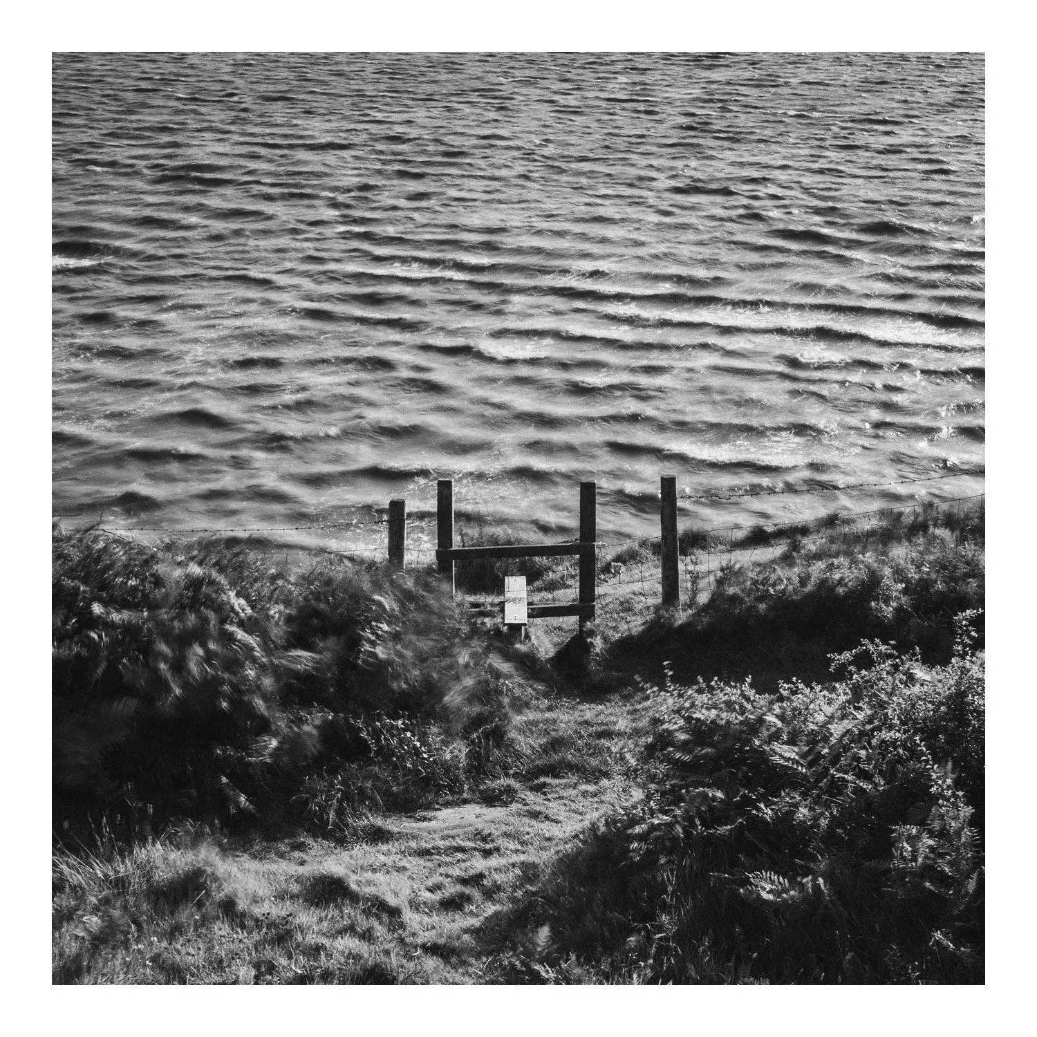 (250804-D004) Storm winds, Silverdale. (LtdEd.50)