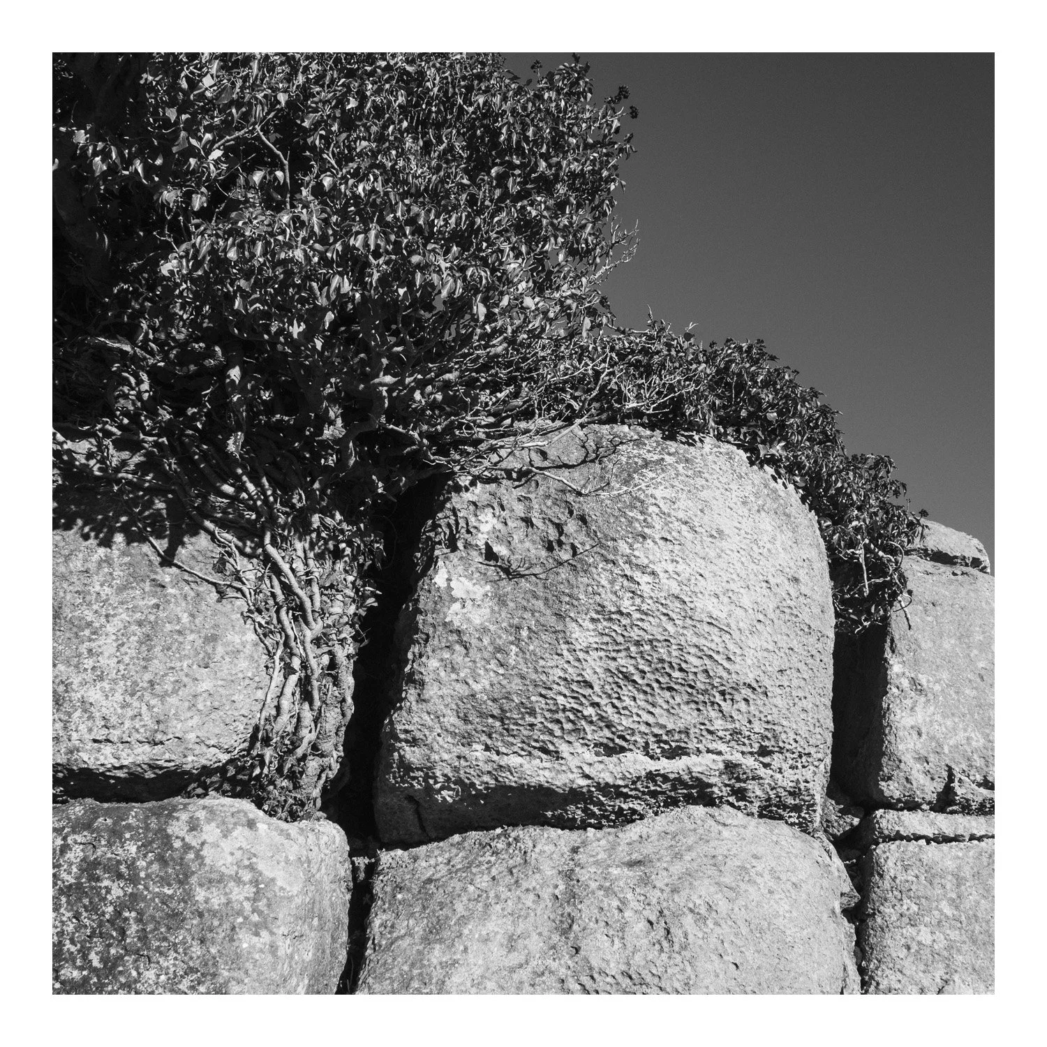 (260214-D020) From within, Newbiggin Crags. (LtdEd.50)