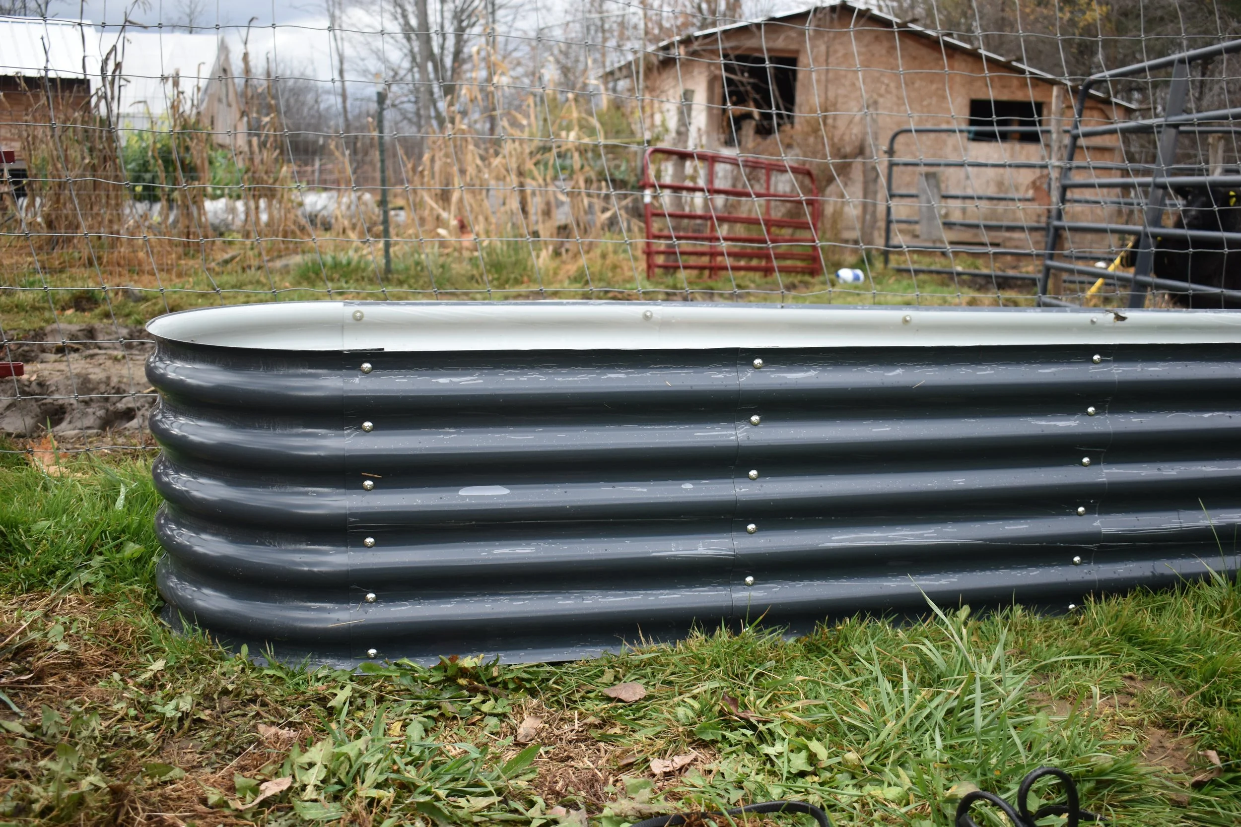 Raised Bed Gardens - Pros and Cons