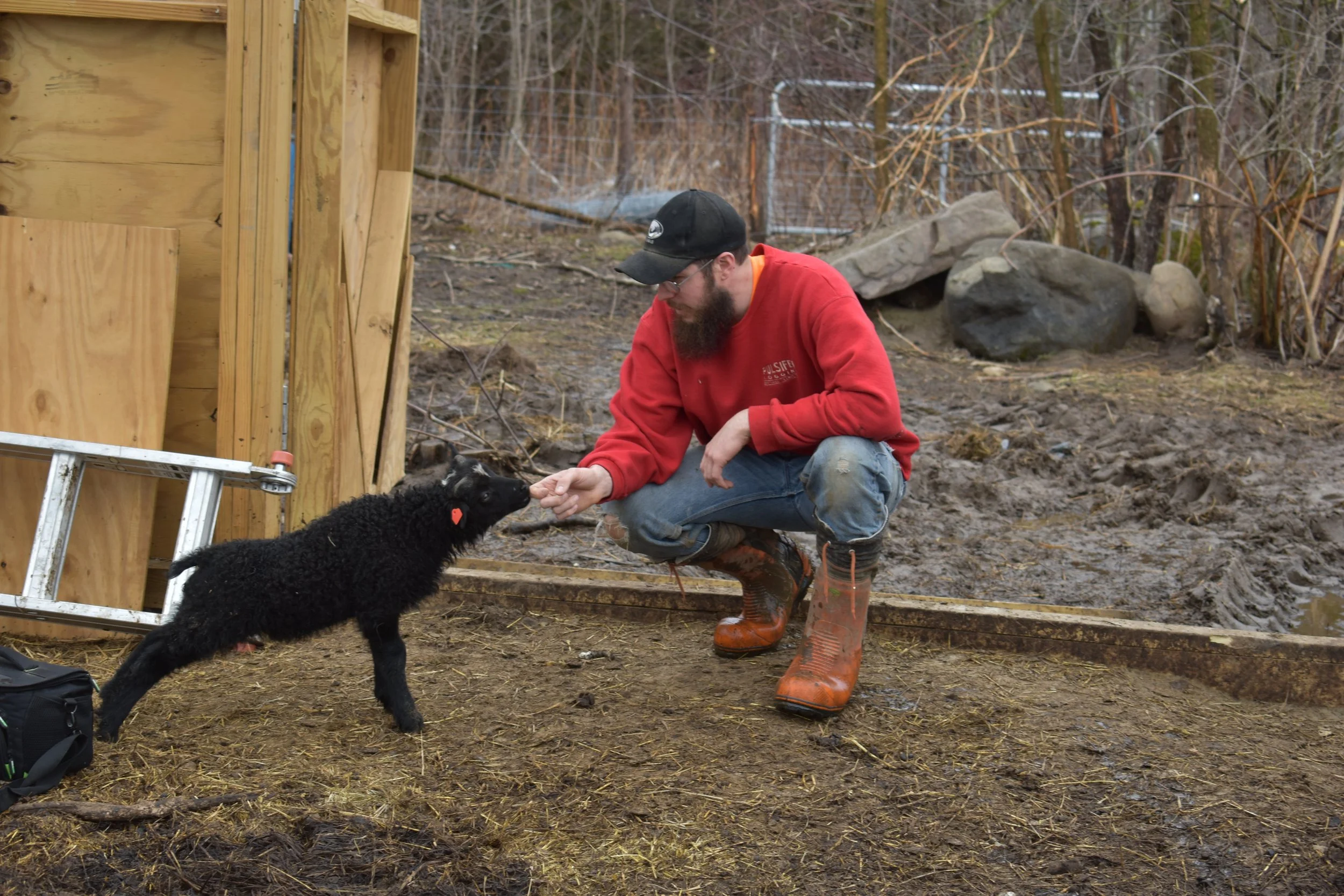 Why We Need to Add Wool Back to Our Closets and Homes