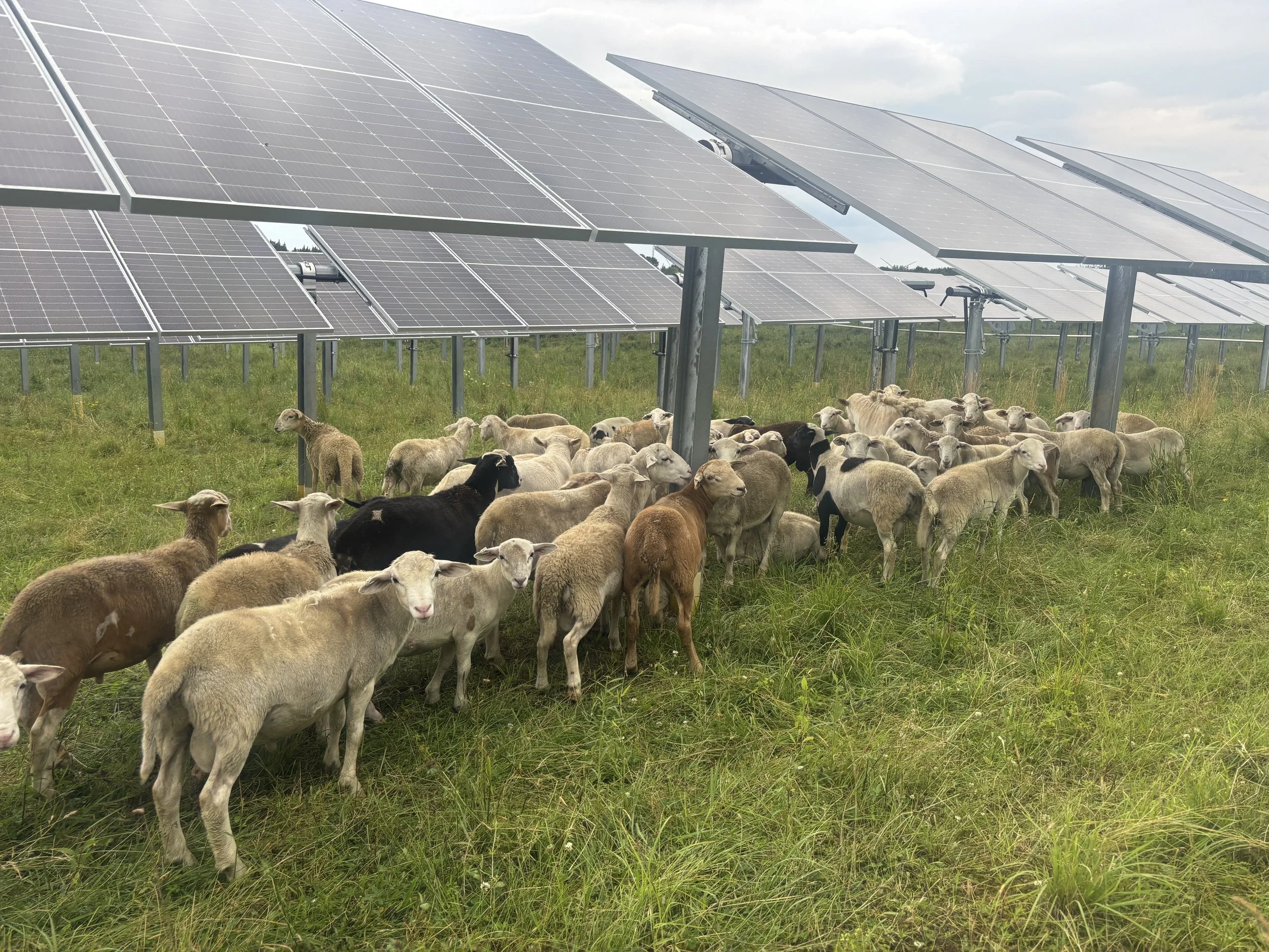 Do Solar Panels Contain Chemicals?