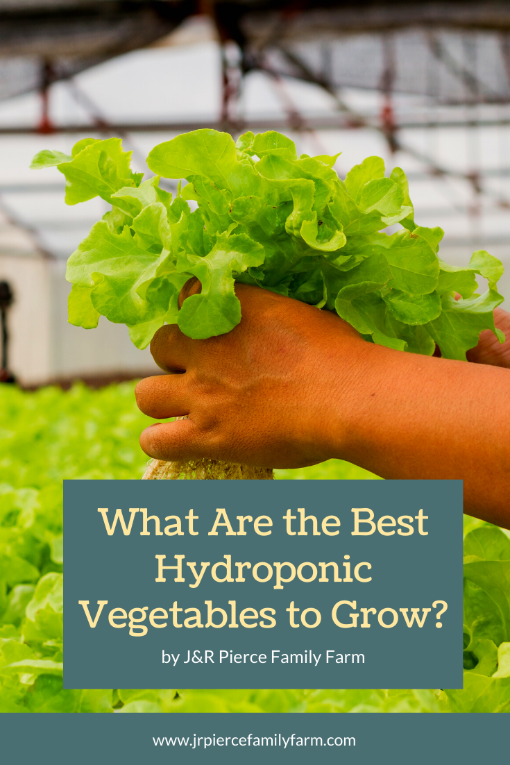 What Are the Best Hydroponic Vegetables to Grow? — J&R Pierce Family Farm