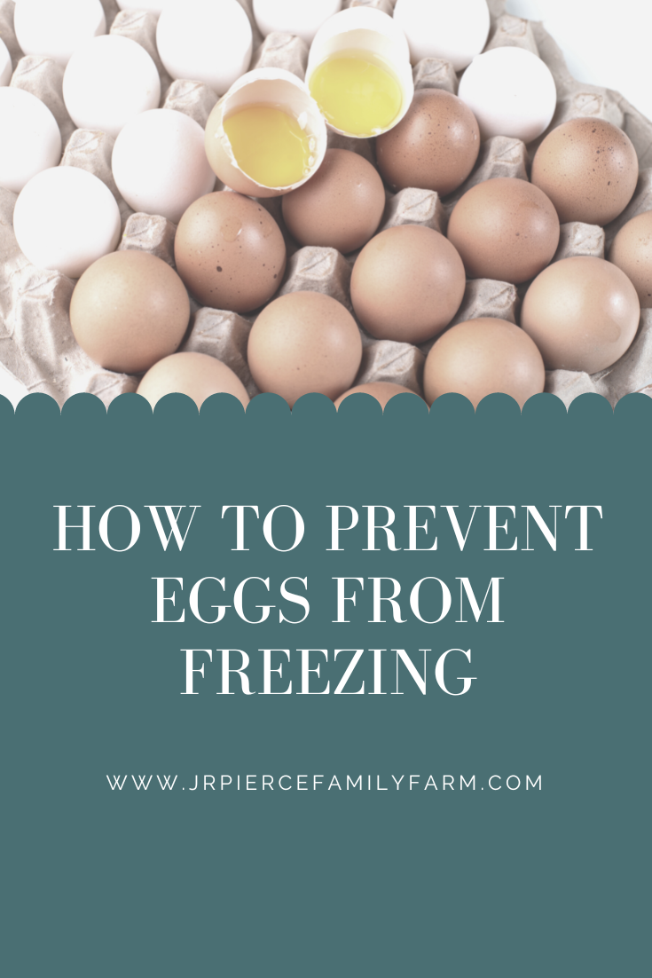 How to Prevent Eggs from Freezing — J&R Pierce Family Farm
