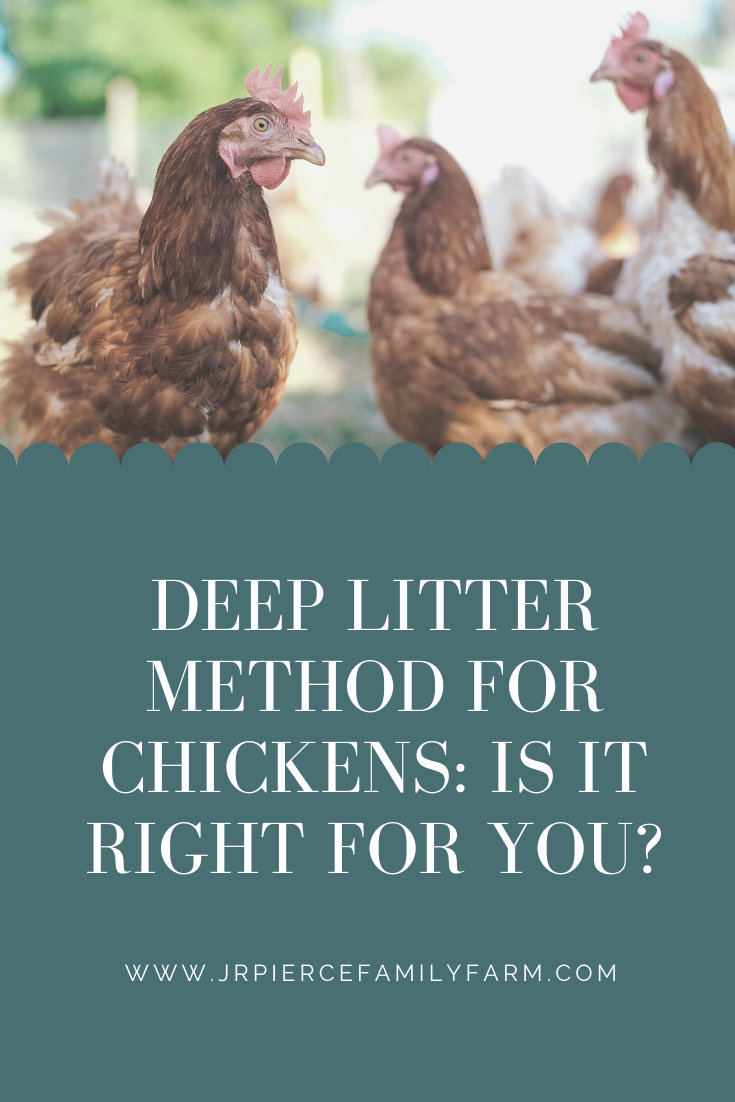 What is the Deep Litter Method for Chickens? — J&R Pierce Family Farm