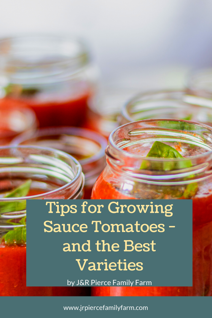 The 20 Best Sauce Tomatoes to Grow and a Tomato Sauce Recipe! — J&R
