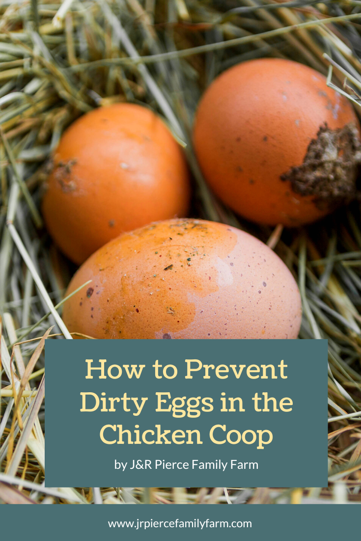 How to Prevent Dirty Eggs in the Chicken Coop — J&R Pierce Family Farm