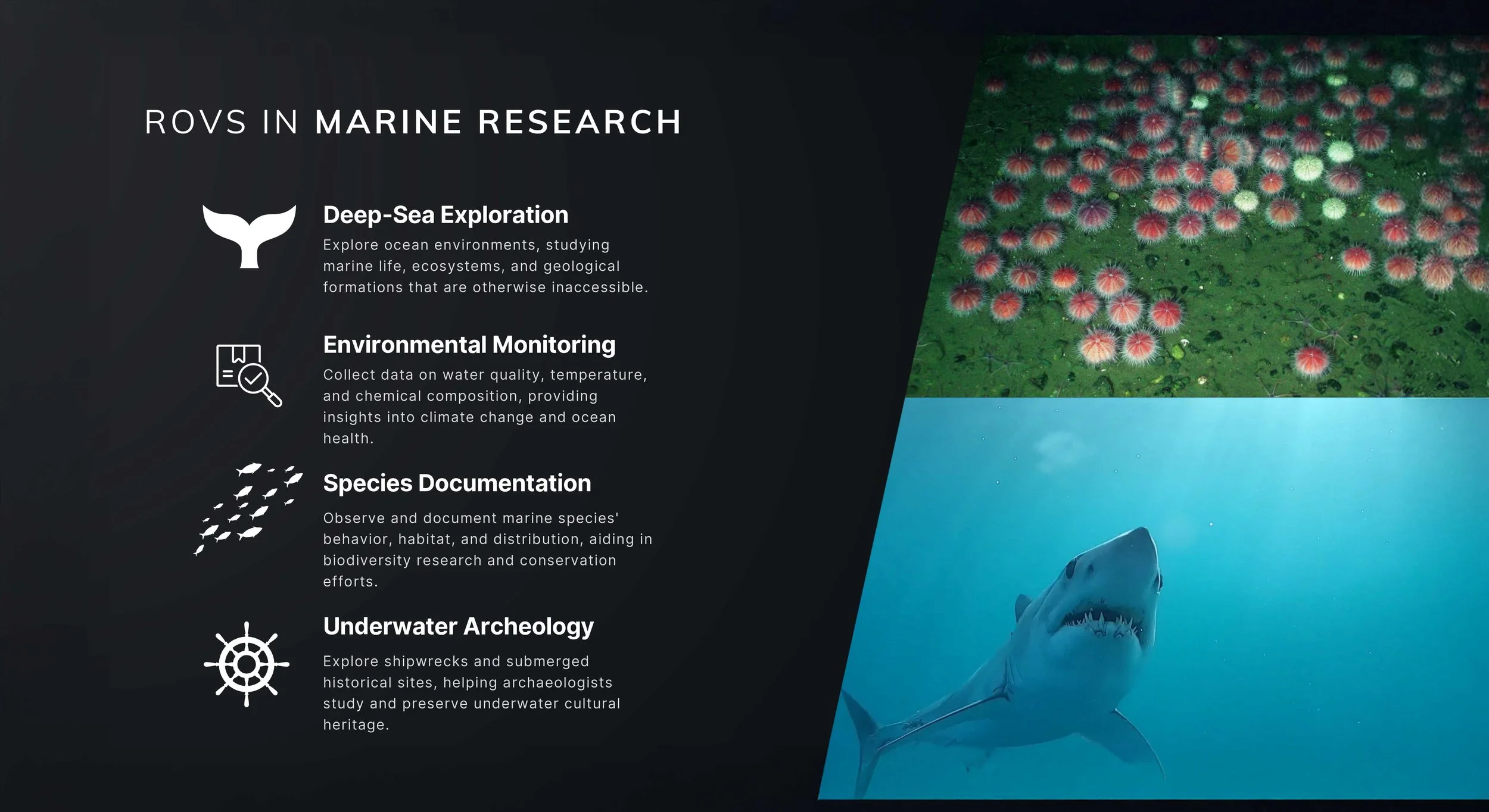 SRV-8 ROV-research-Presentation_BUVI Scandinavia-19.jpg