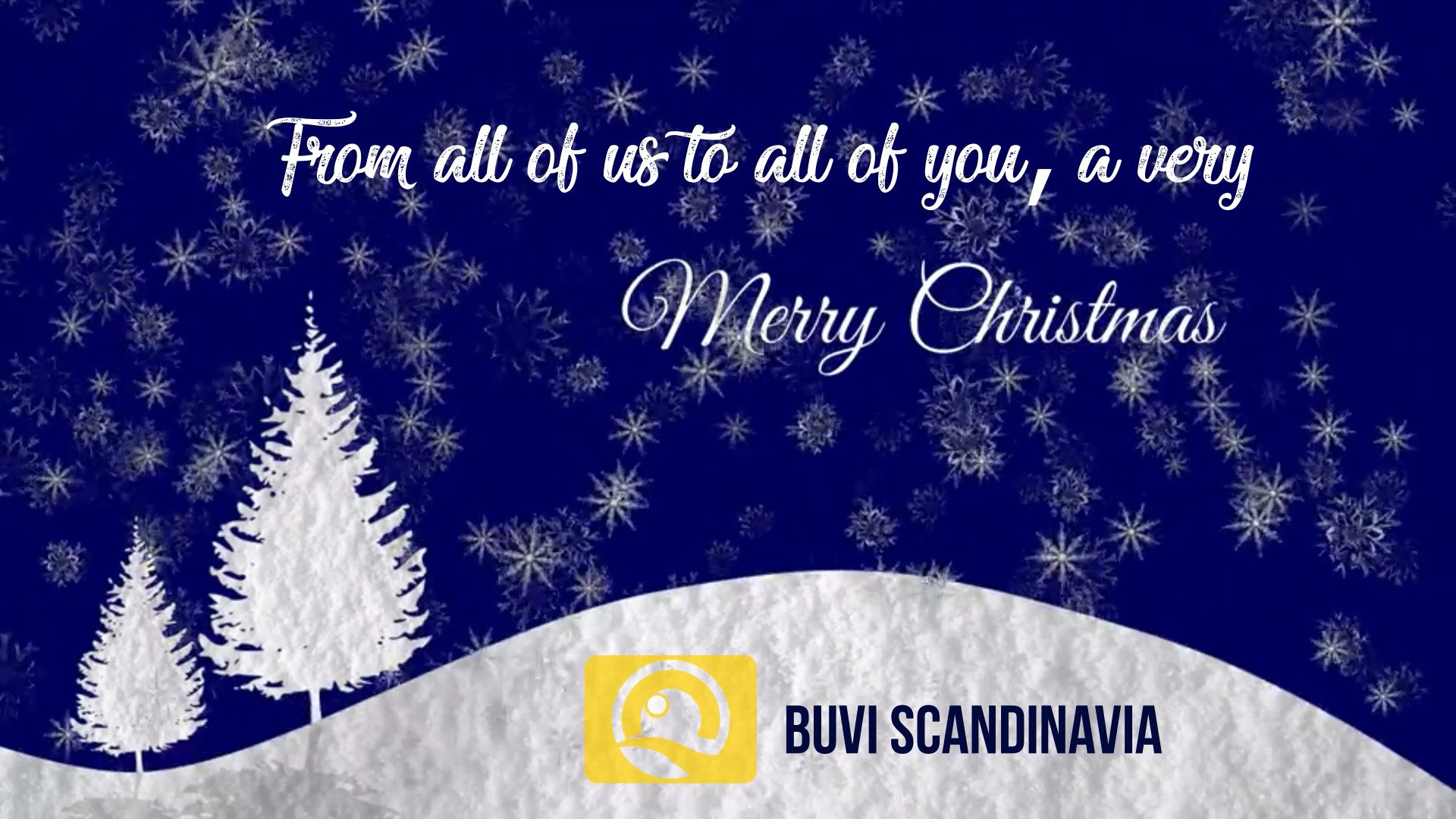 Christmas Greeting from BUVI Scandinavia