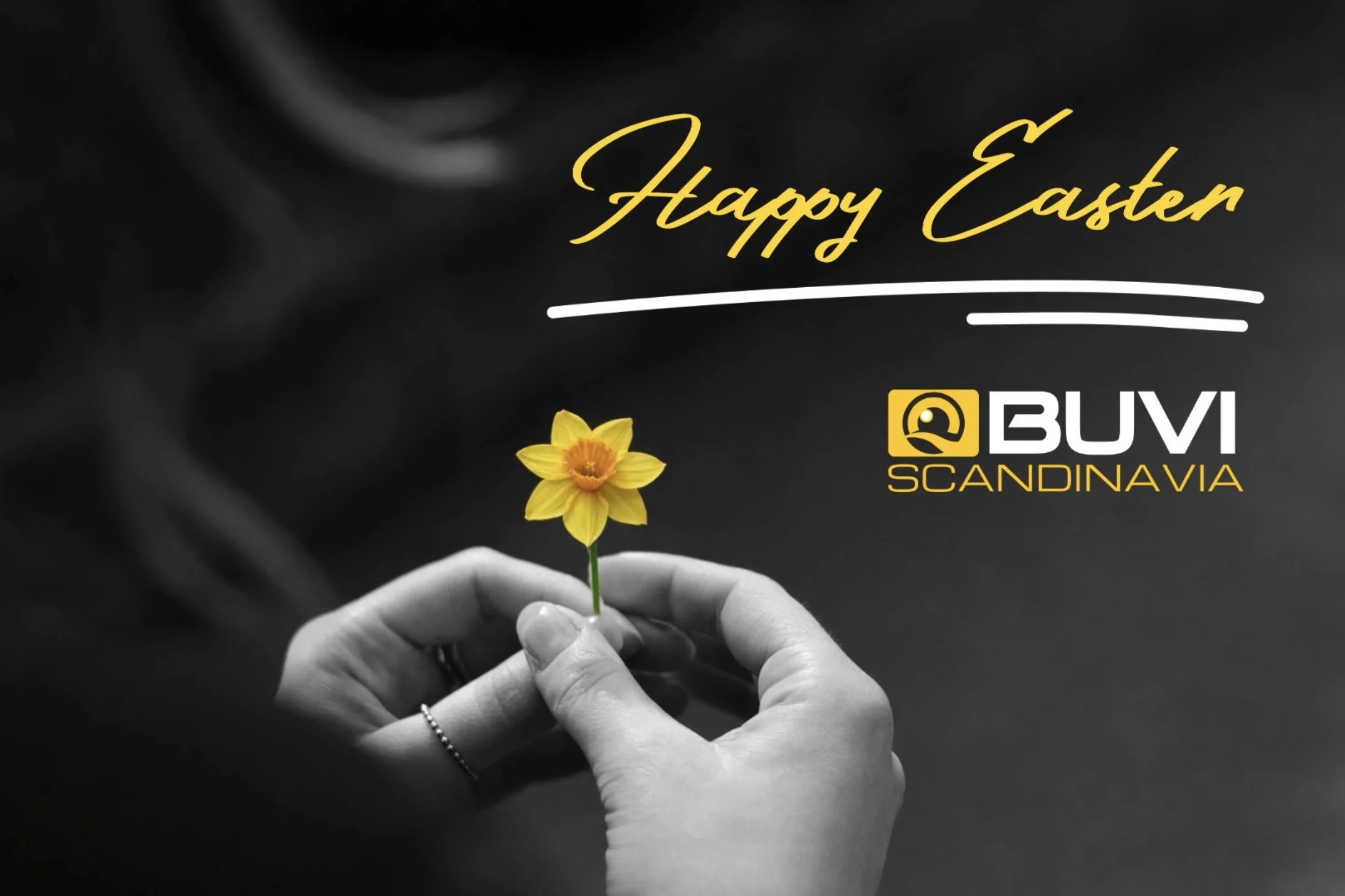 Happy Easter from BUVI Scandinavia!