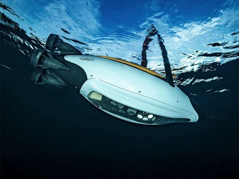 High-precision surveying, The Quadroin is equipped with a side-scan sonar and a downward-looking full-HD camera