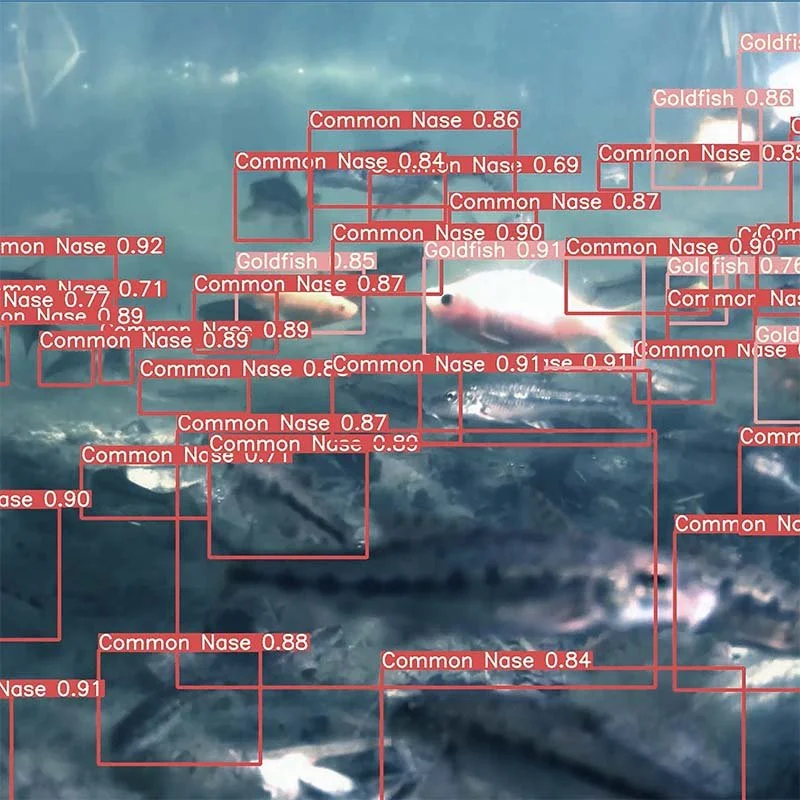 Integration av sidoskannande sonar videoflöde