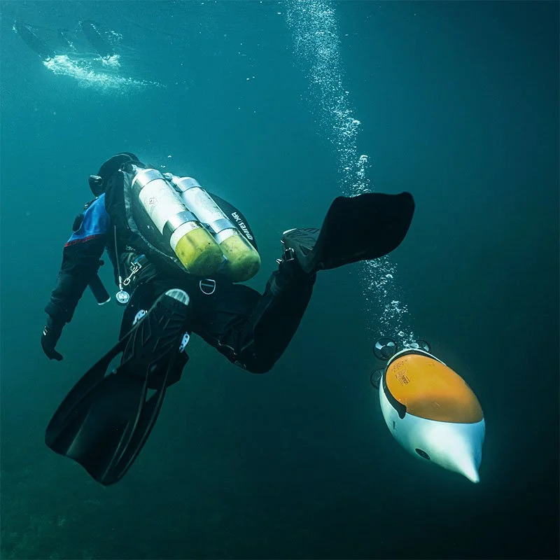 Quadrons AUVs, Sonobot USVs, and EvoLogics Diver Navigation System units networked with surface gateways into a hybrid robot/diver taskforce.