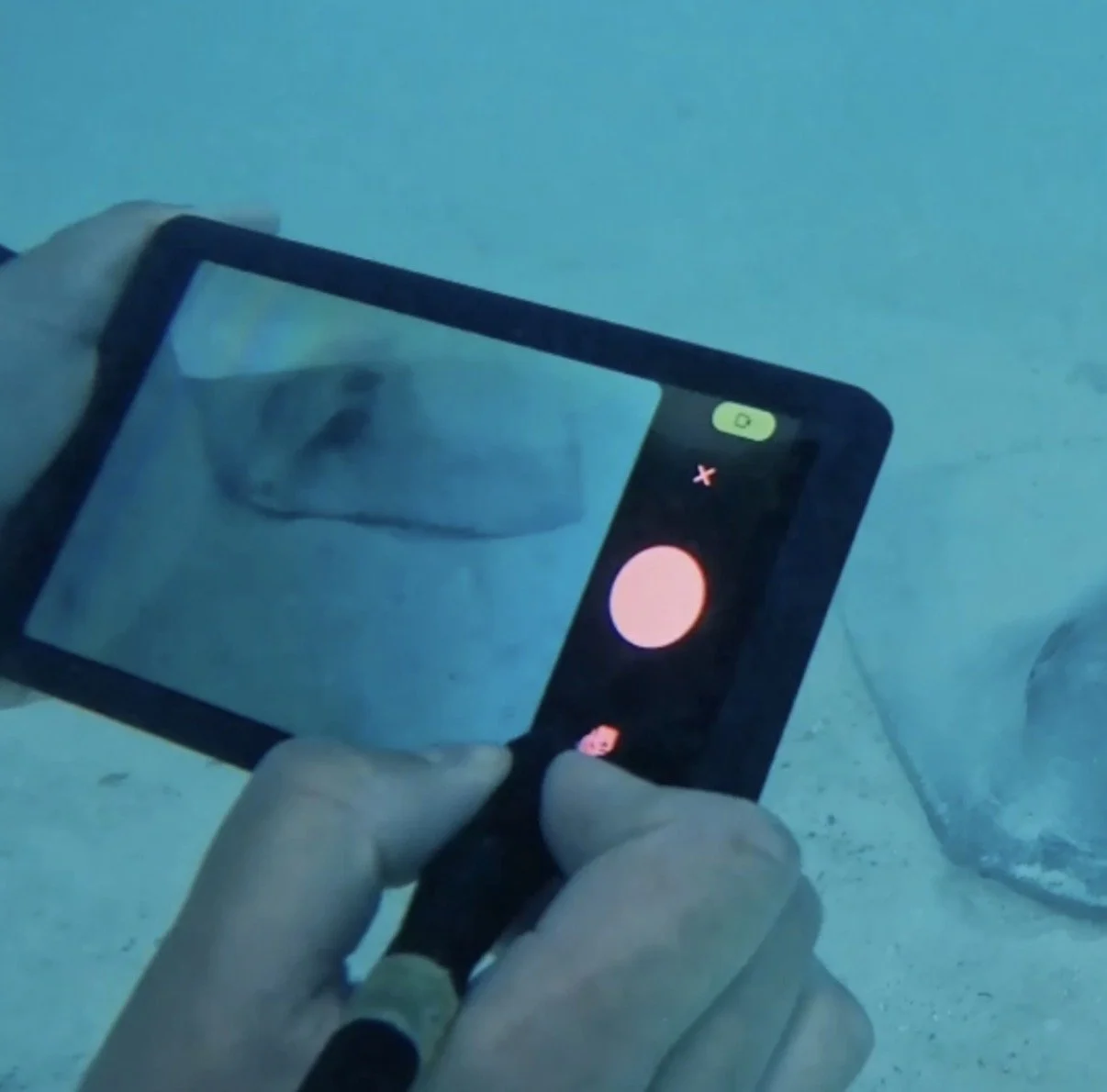Intuitive user interface - Diver Navigation