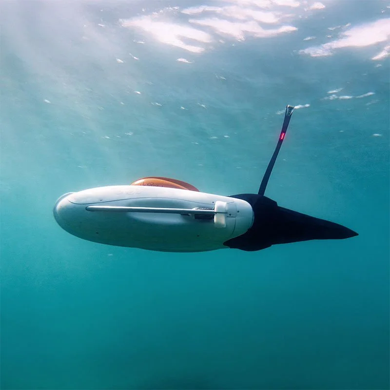 POGGY AUV - Autonomous Underwater Vehicle designed for advanced surveying, marine exploration and monitoring