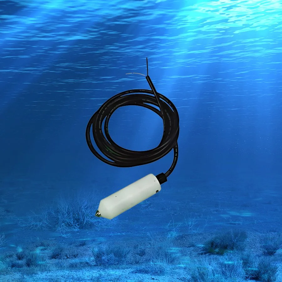 Cathodic Protection (CP) Probe