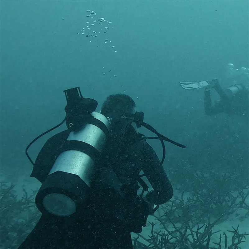 Diver Navigation Compatible with various diving gear
